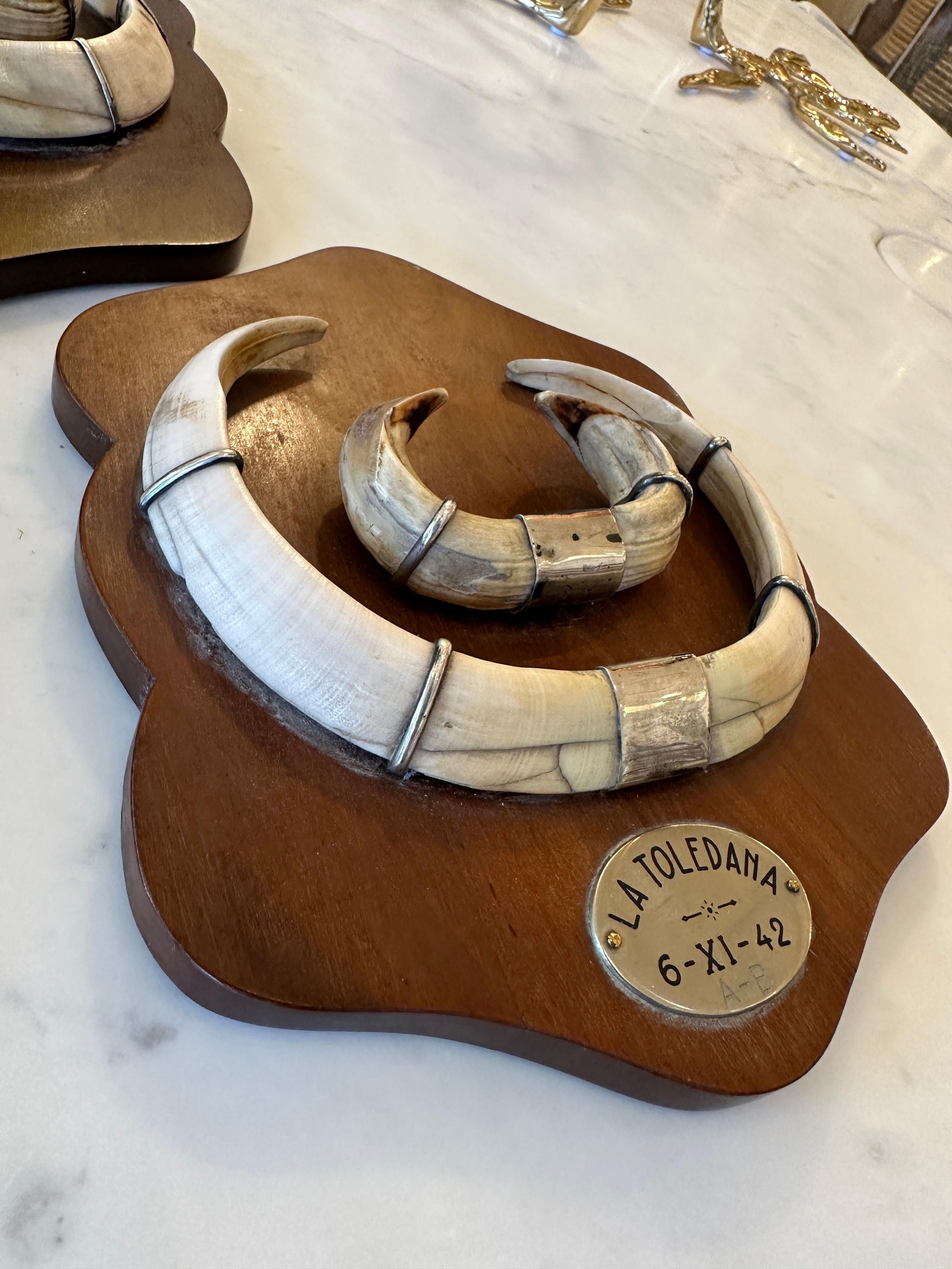 Vintage Wild Boar Tusk Trophies with Sterling Silver Mounting plaques - Set of 3, Spain 1942, 1945, 1946. A vintage trio set of wild boar (Sus scrofa) trophies on wooden plaques. These trophies are mounted with a sterling silver plate depicting the