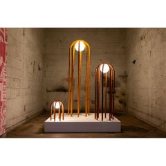 Set of 3 Açafrao & Urucum, Lights by Cultivado Em Casa