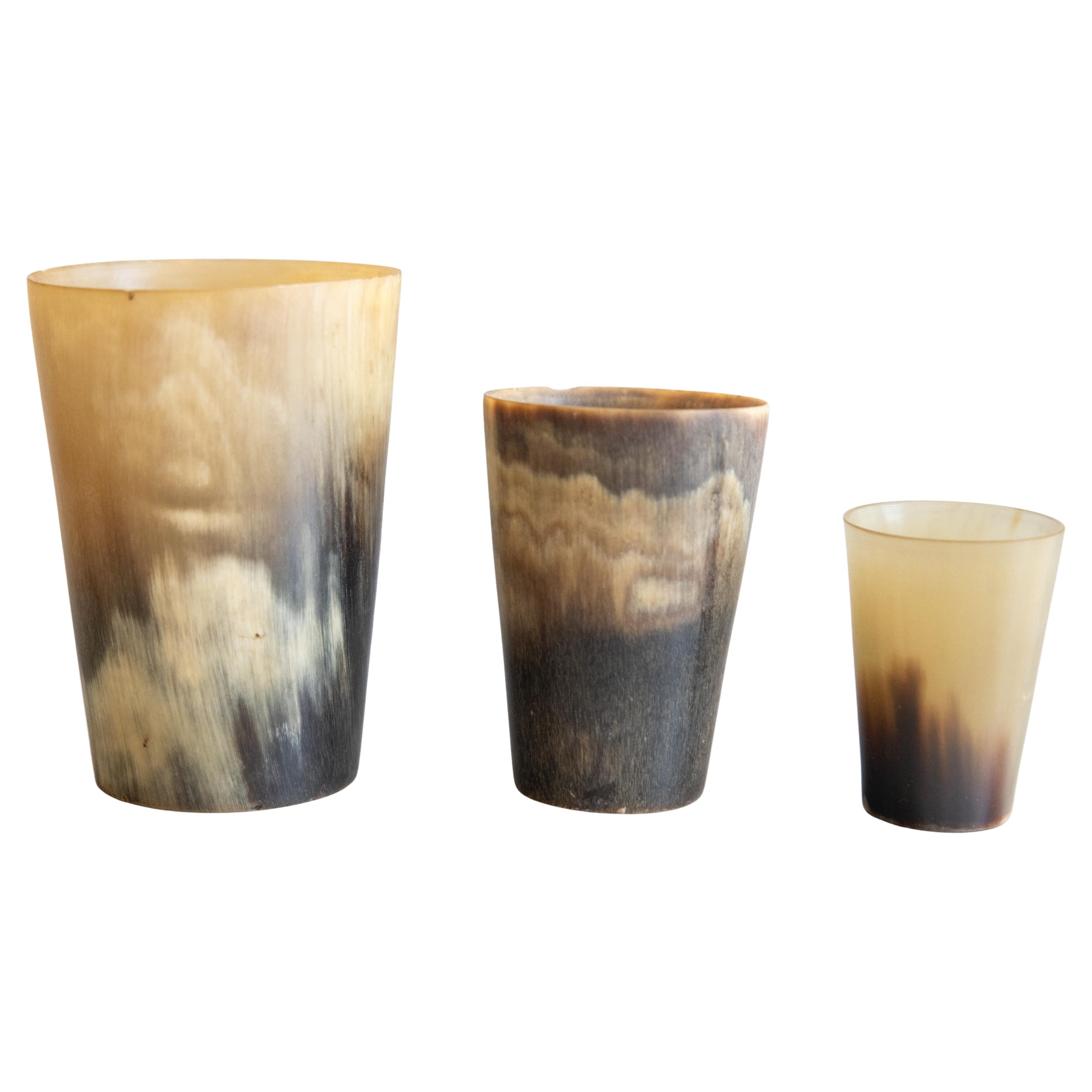 Set of 3 Antique 19th Century English Horn Stirrup Cups For Sale