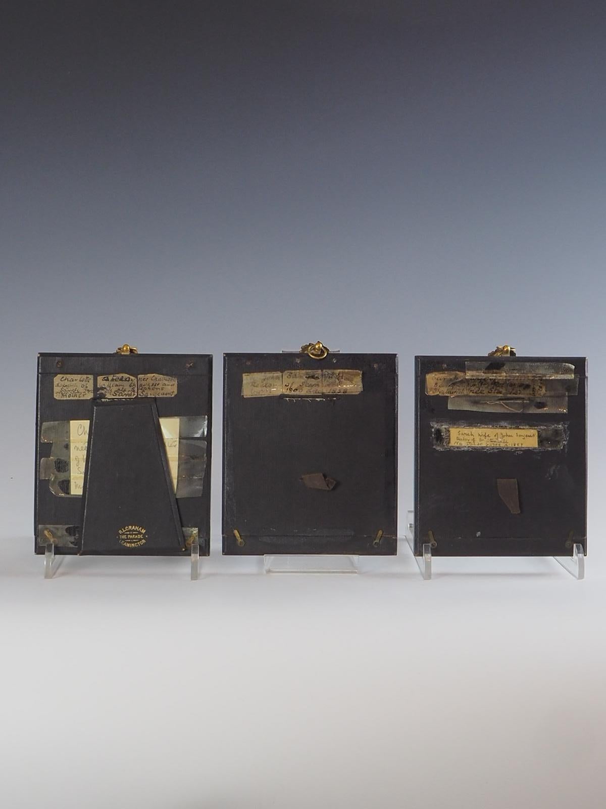 Set of 3 Antique Acorn Miniatures with Original Photographs For Sale 1