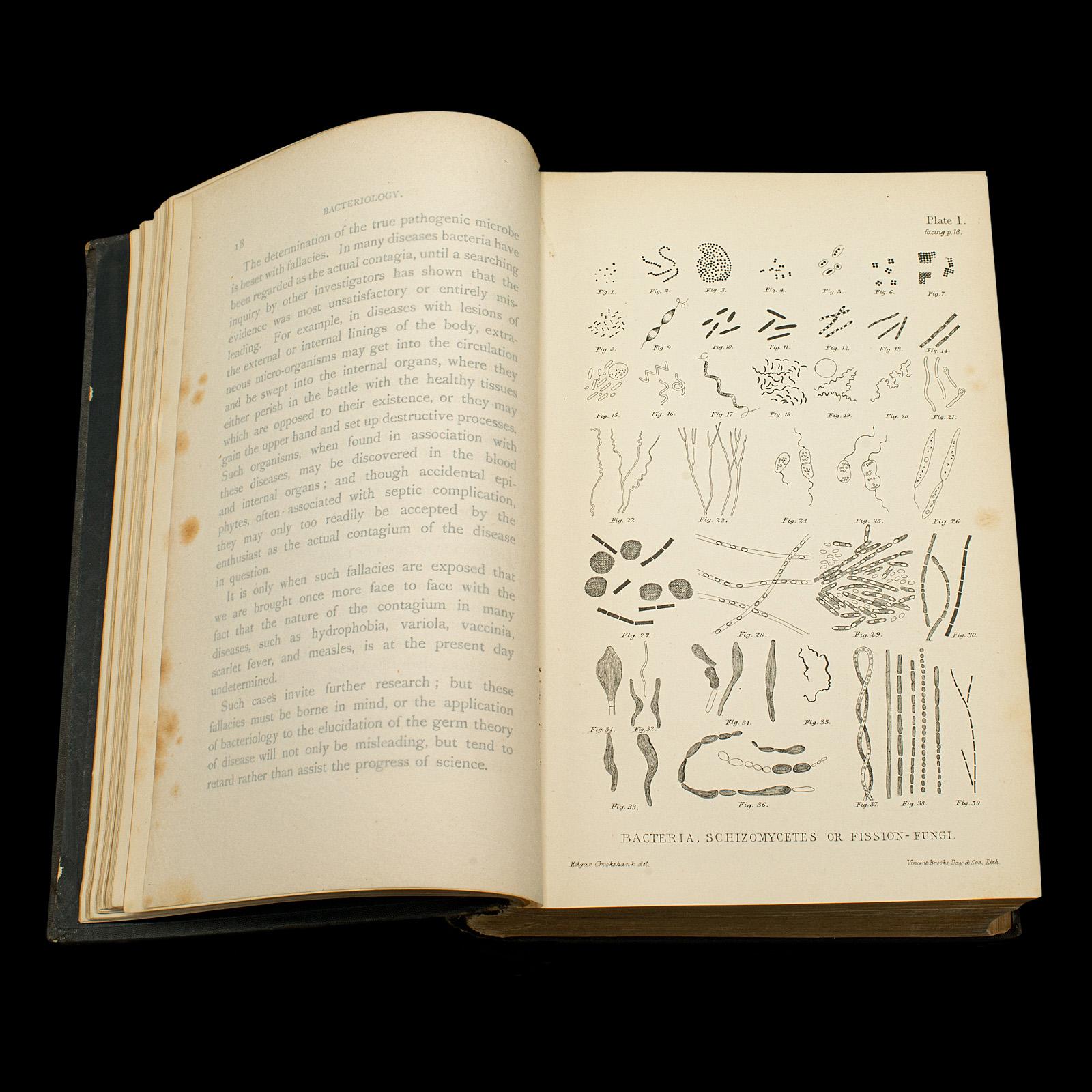 Ensemble de 3 livres d'intérêt pour la biologie ancienne, référence scientifique anglaise, victorienne Bon état - En vente à Hele, Devon, GB