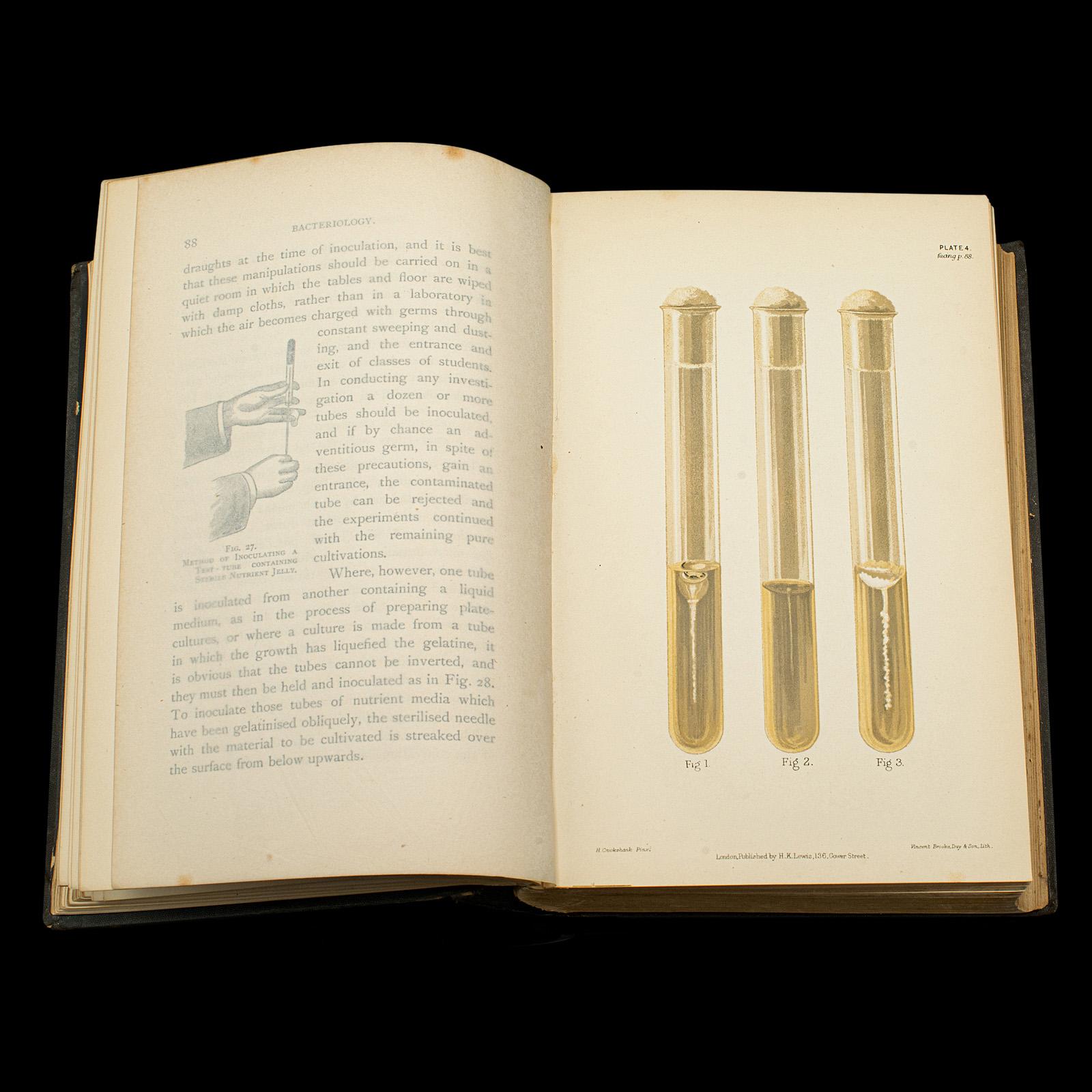 XIXe siècle Ensemble de 3 livres d'intérêt pour la biologie ancienne, référence scientifique anglaise, victorienne en vente