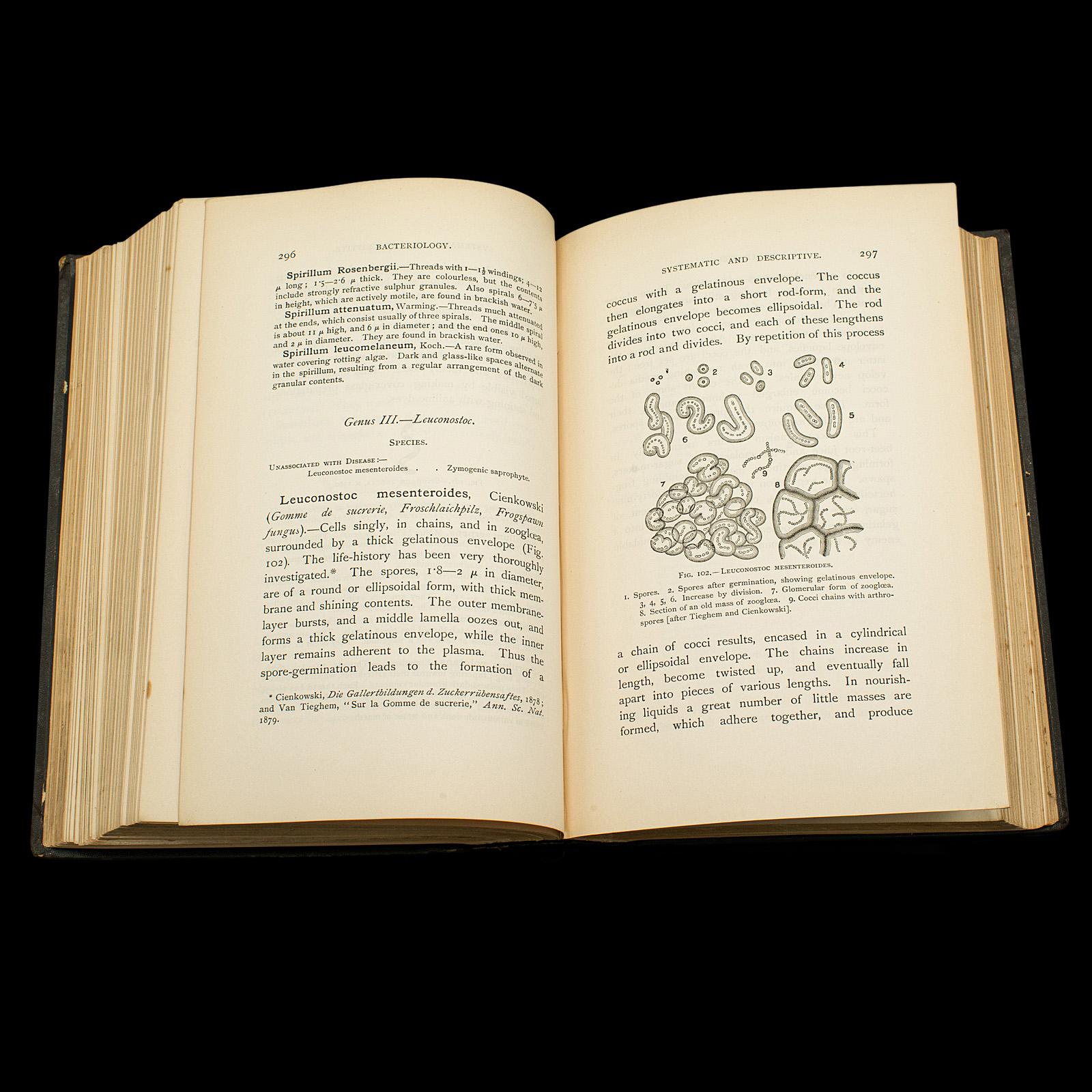 Papier Ensemble de 3 livres d'intérêt pour la biologie ancienne, référence scientifique anglaise, victorienne en vente