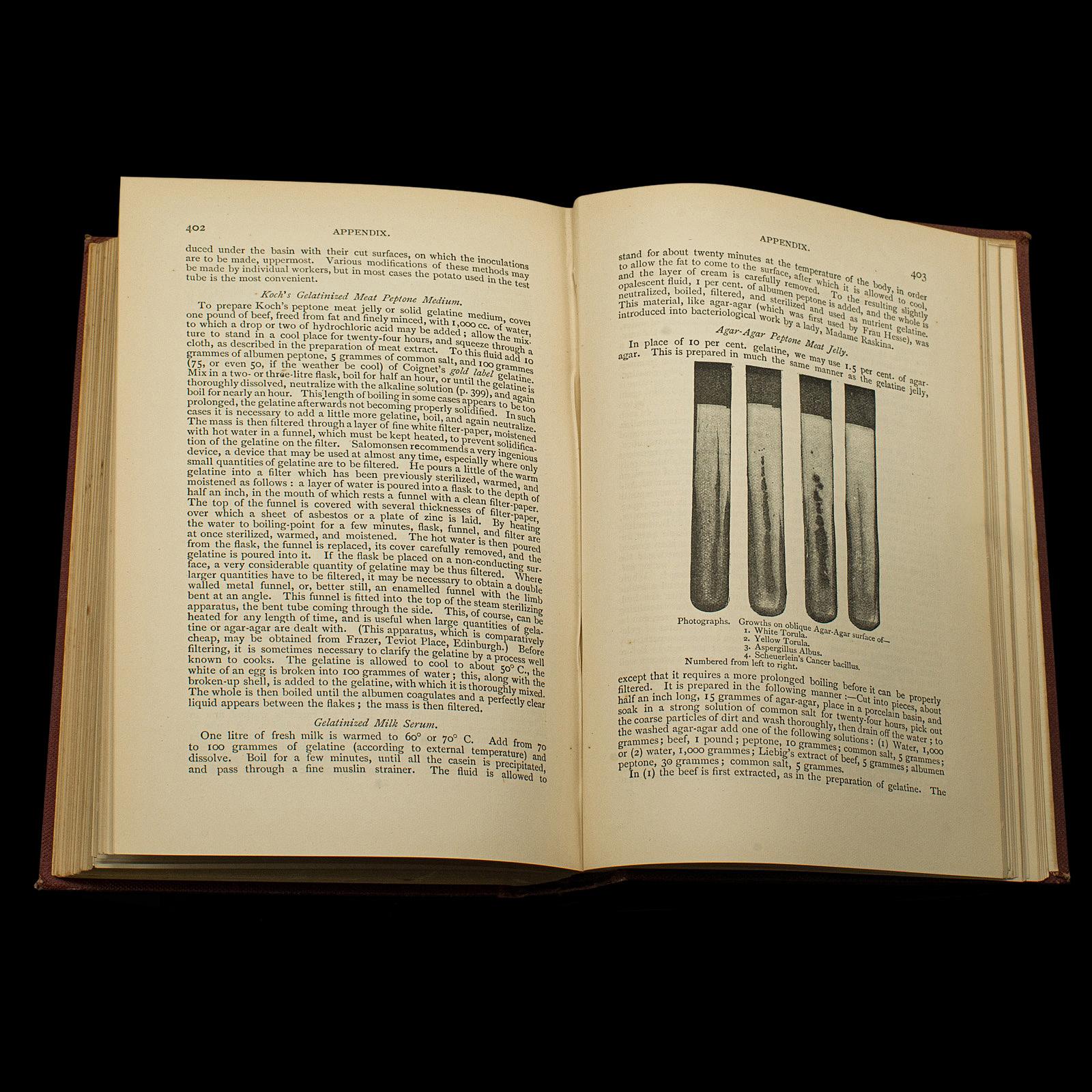 Set of 3 Antique Biology Interest Books, English Scientific Reference, Victorian For Sale 3