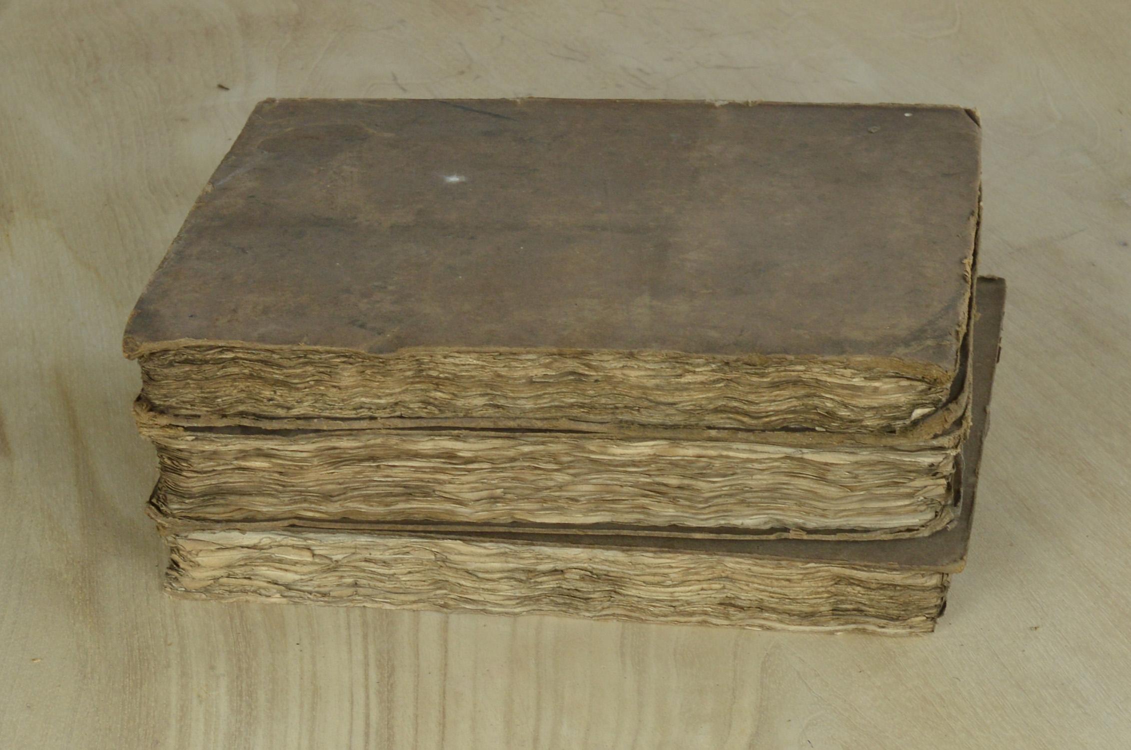 Wonderfully distressed books with a lovely colour of boards and equally beautiful fore edges.

They are random volumes of The Encyclopedia Britannica, circa 1820.

One of the books is lacking its back board.






 