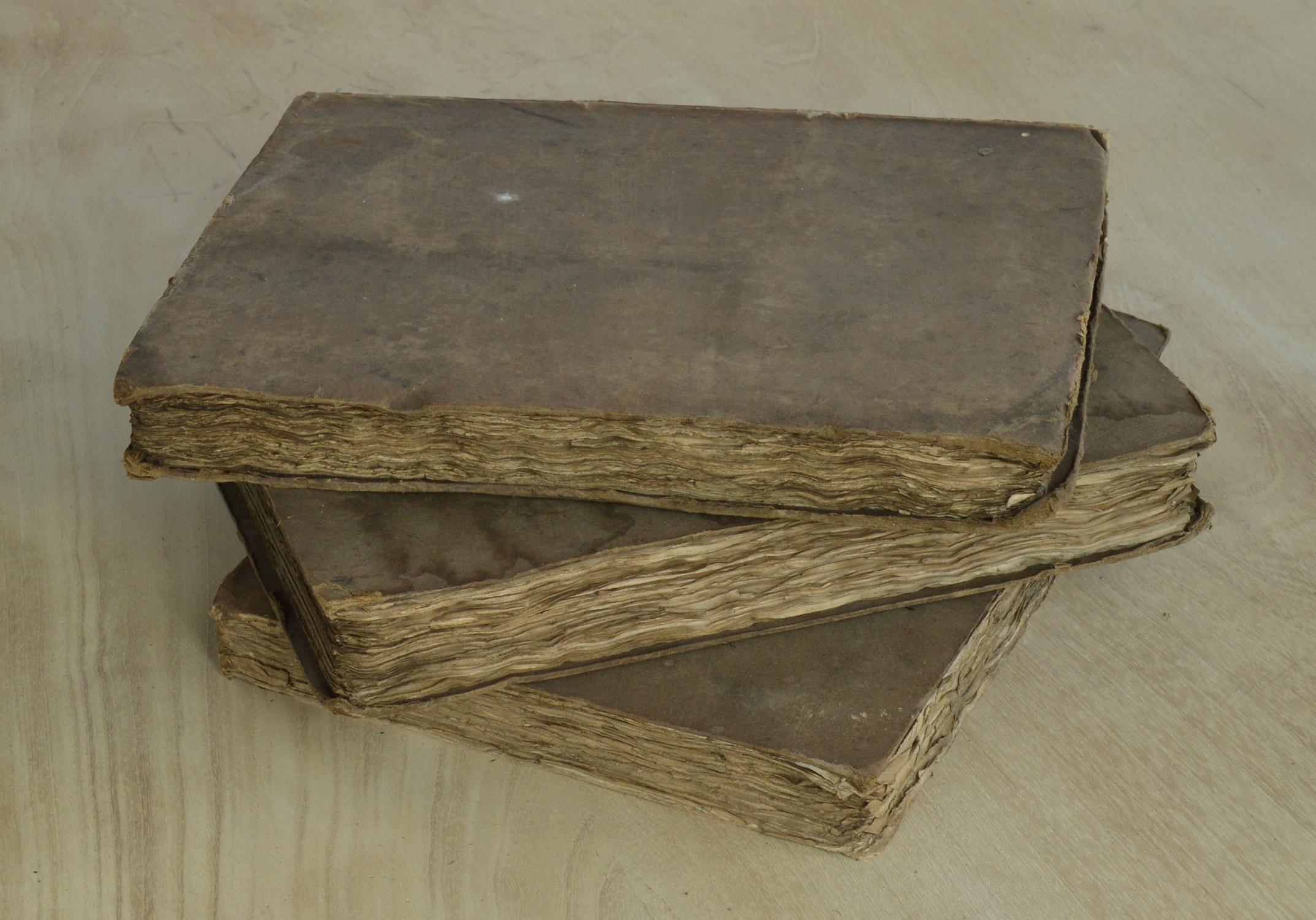 Set of 3 Antique Early 19th Century Distressed Books with Earth Colour Bindings (Georgian)