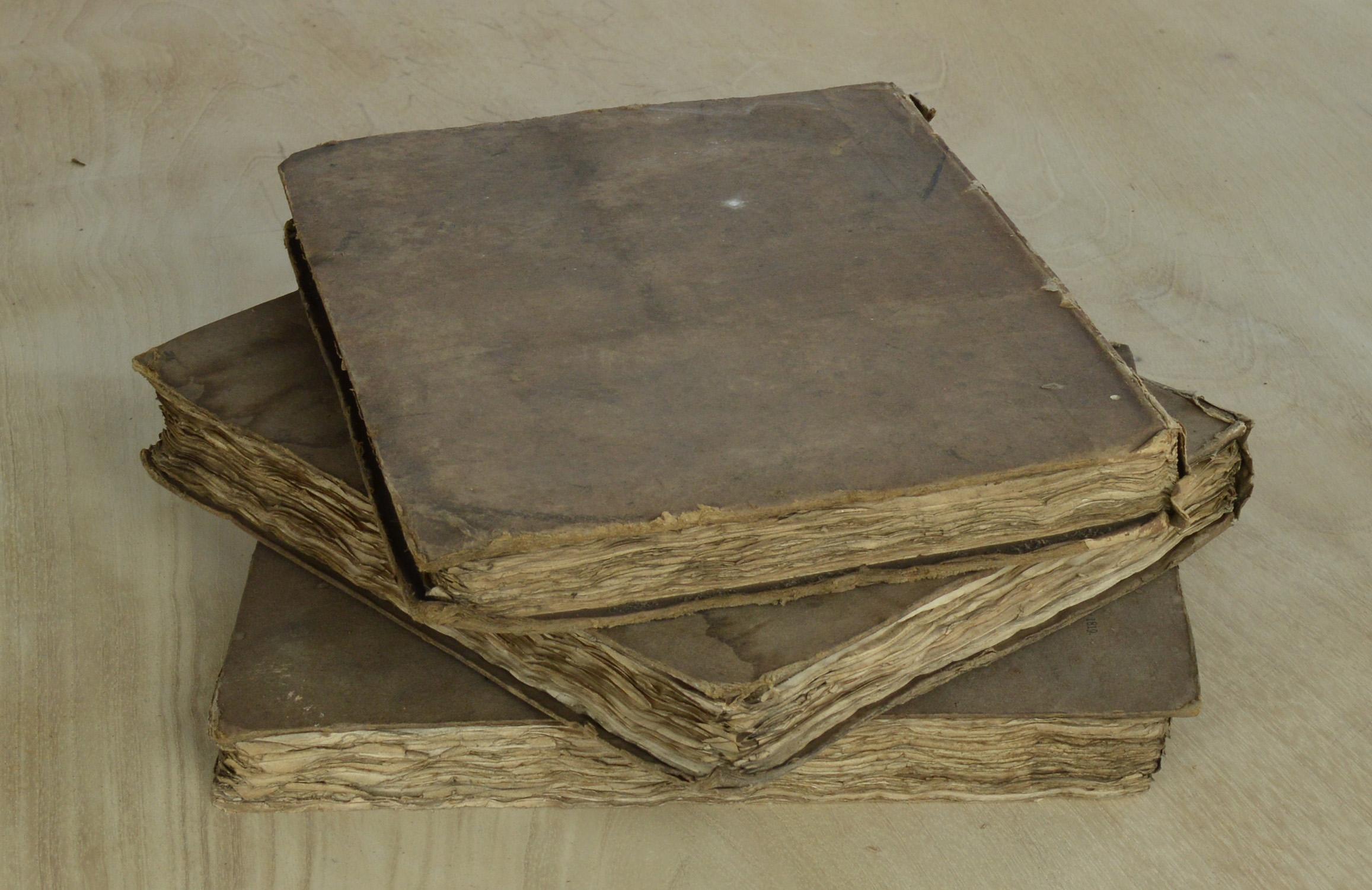 Set of 3 Antique Early 19th Century Distressed Books with Earth Colour Bindings (Englisch)