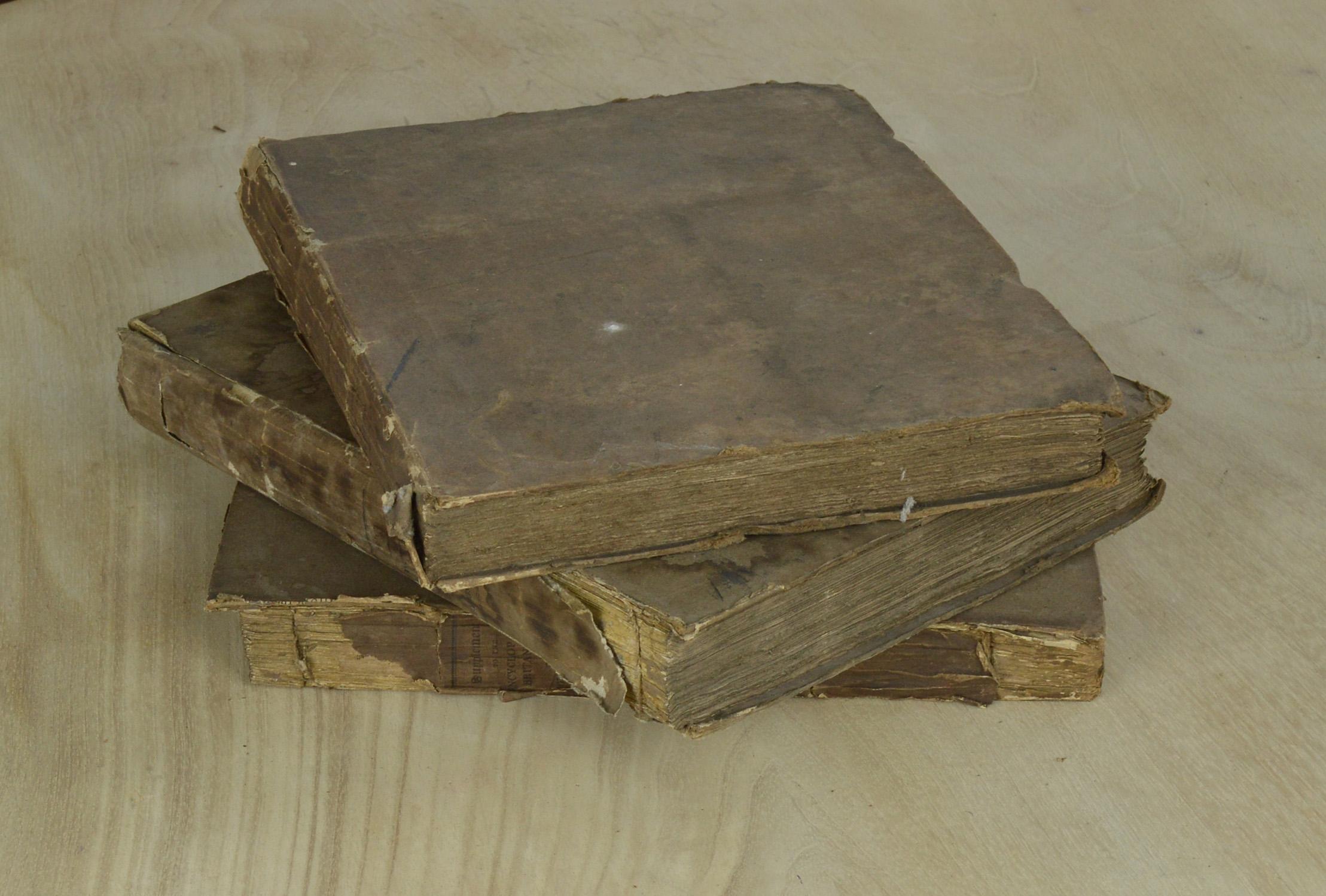 Set of 3 Antique Early 19th Century Distressed Books with Earth Colour Bindings (Sonstiges)