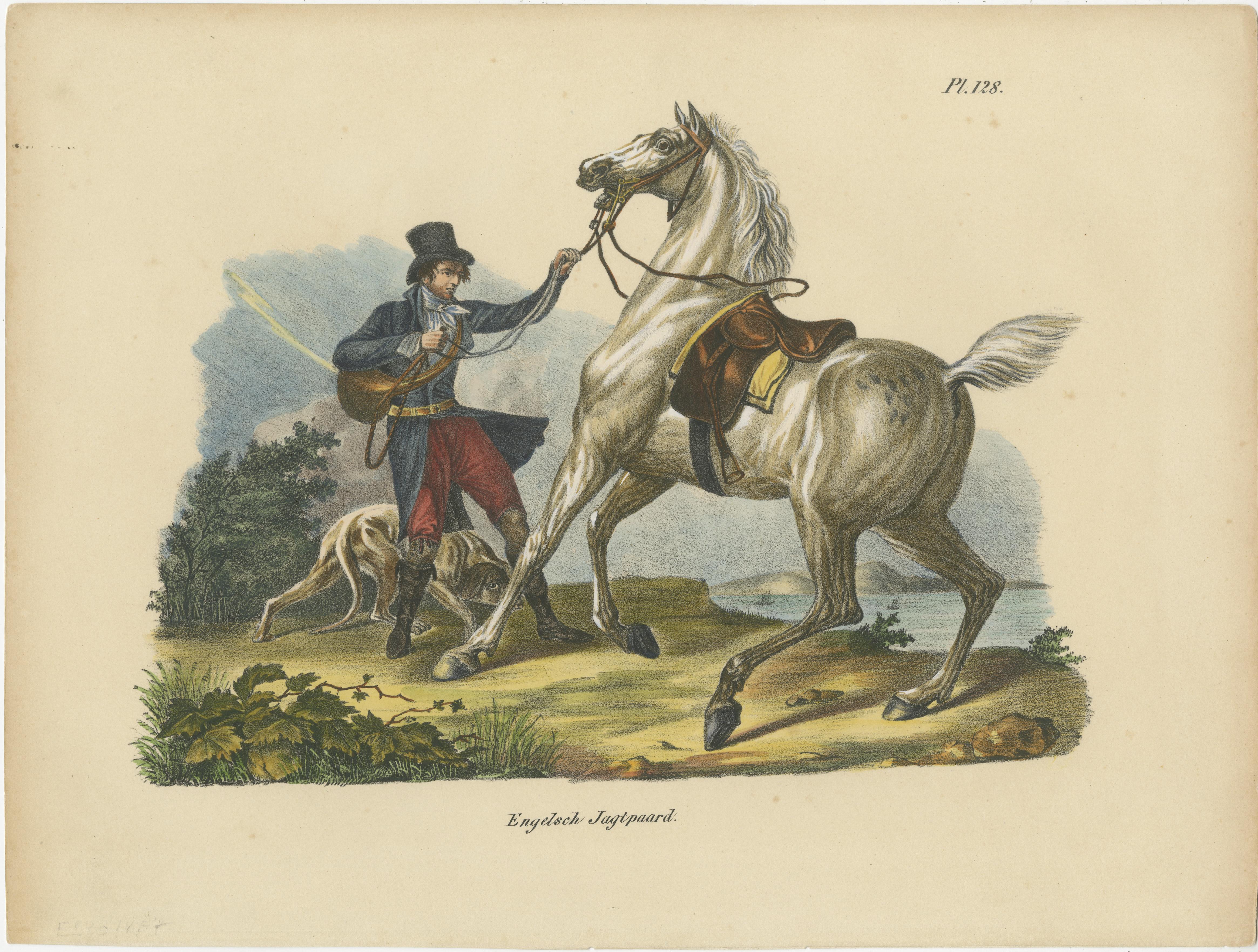 Lot de 3 anciennes estampes colorées à la main représentant des chevaux anglais Bon état - En vente à Langweer, NL