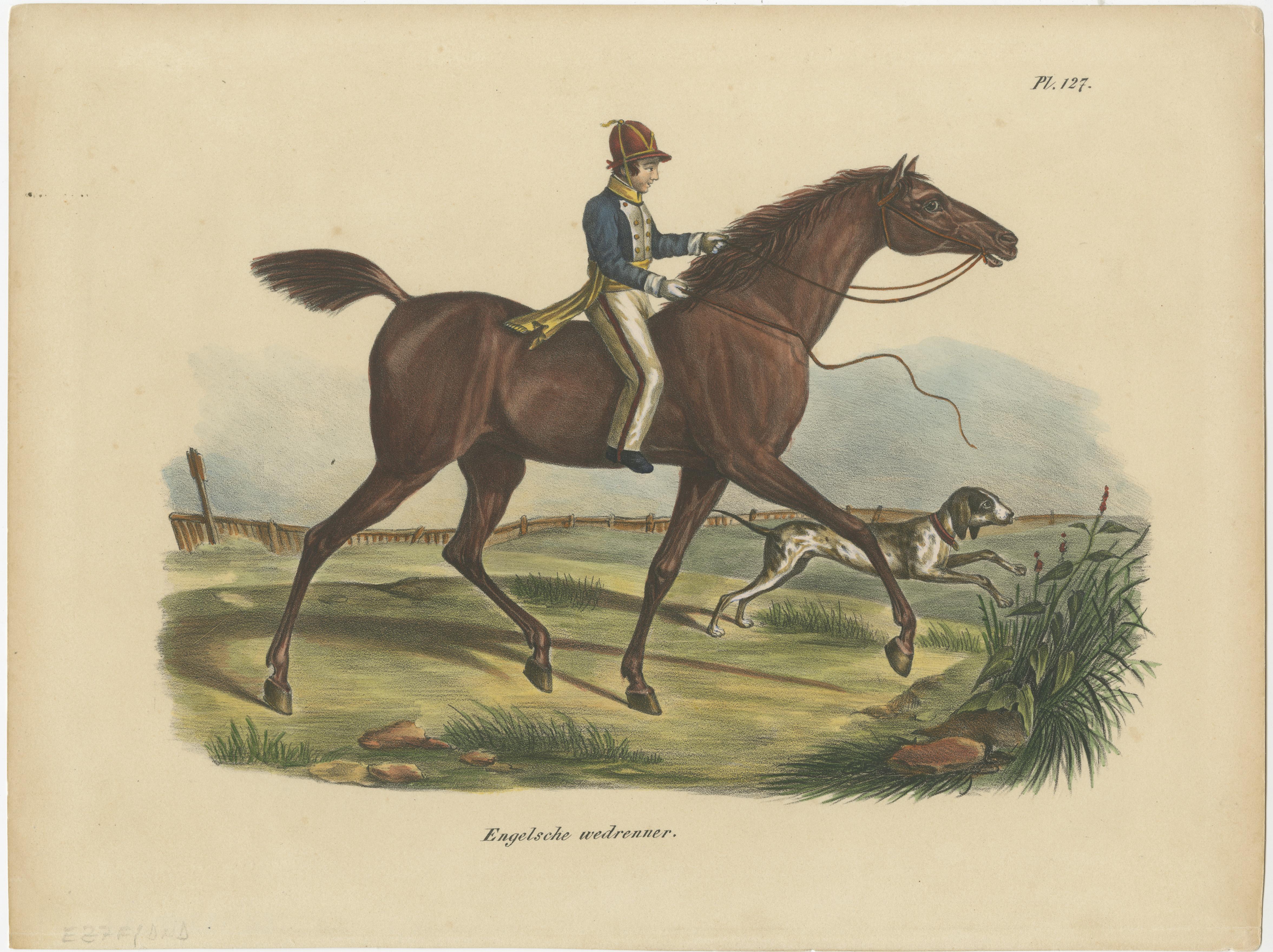 XIXe siècle Lot de 3 anciennes estampes colorées à la main représentant des chevaux anglais en vente
