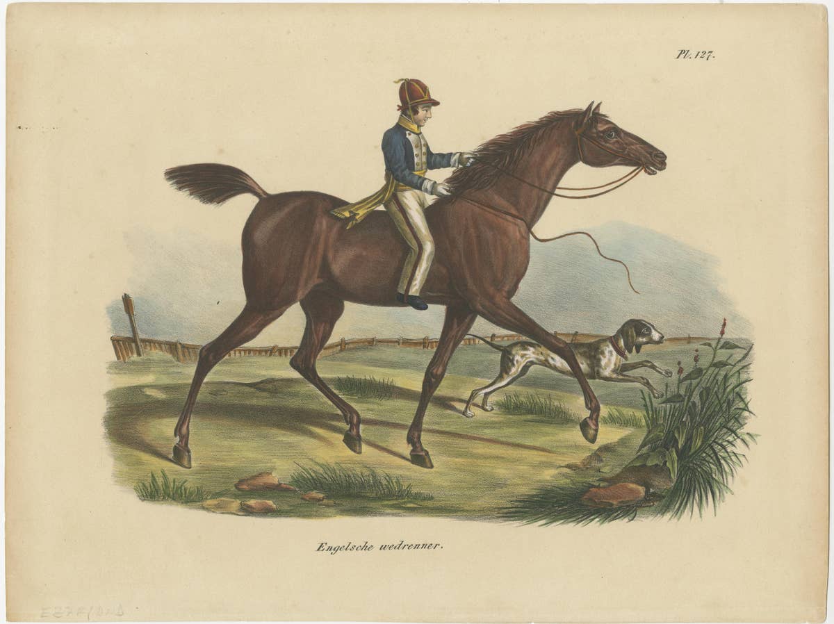 Set of 3 Antique Hand Colored Prints of English Horses