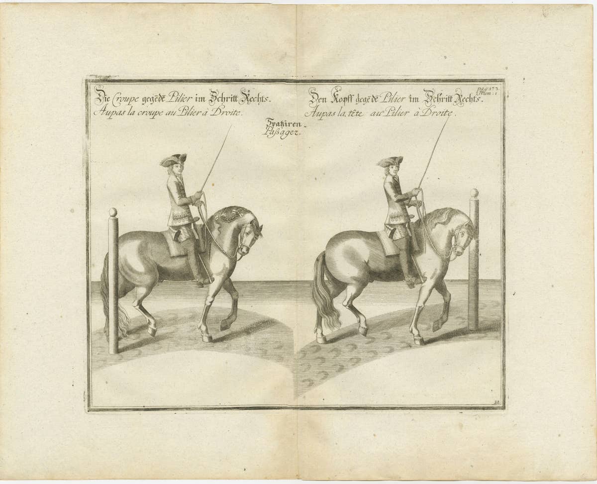 Set of 3 Antique Horse Riding Prints