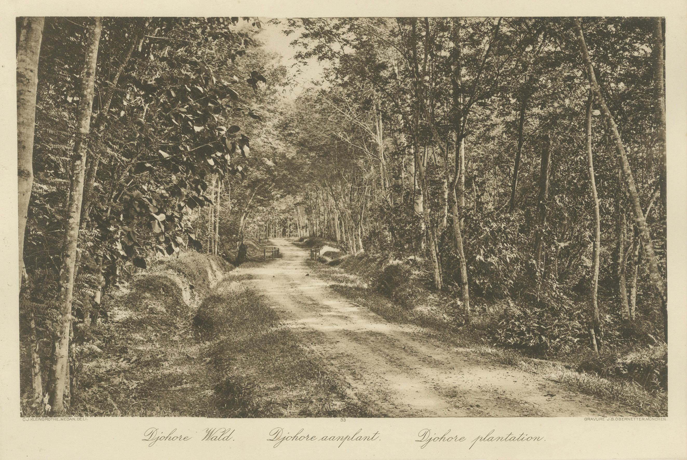 Satz von 3 antiken Fotogravuren von Sumatra-Plantagen - Deli, Region Medan, 1900 im Angebot 6