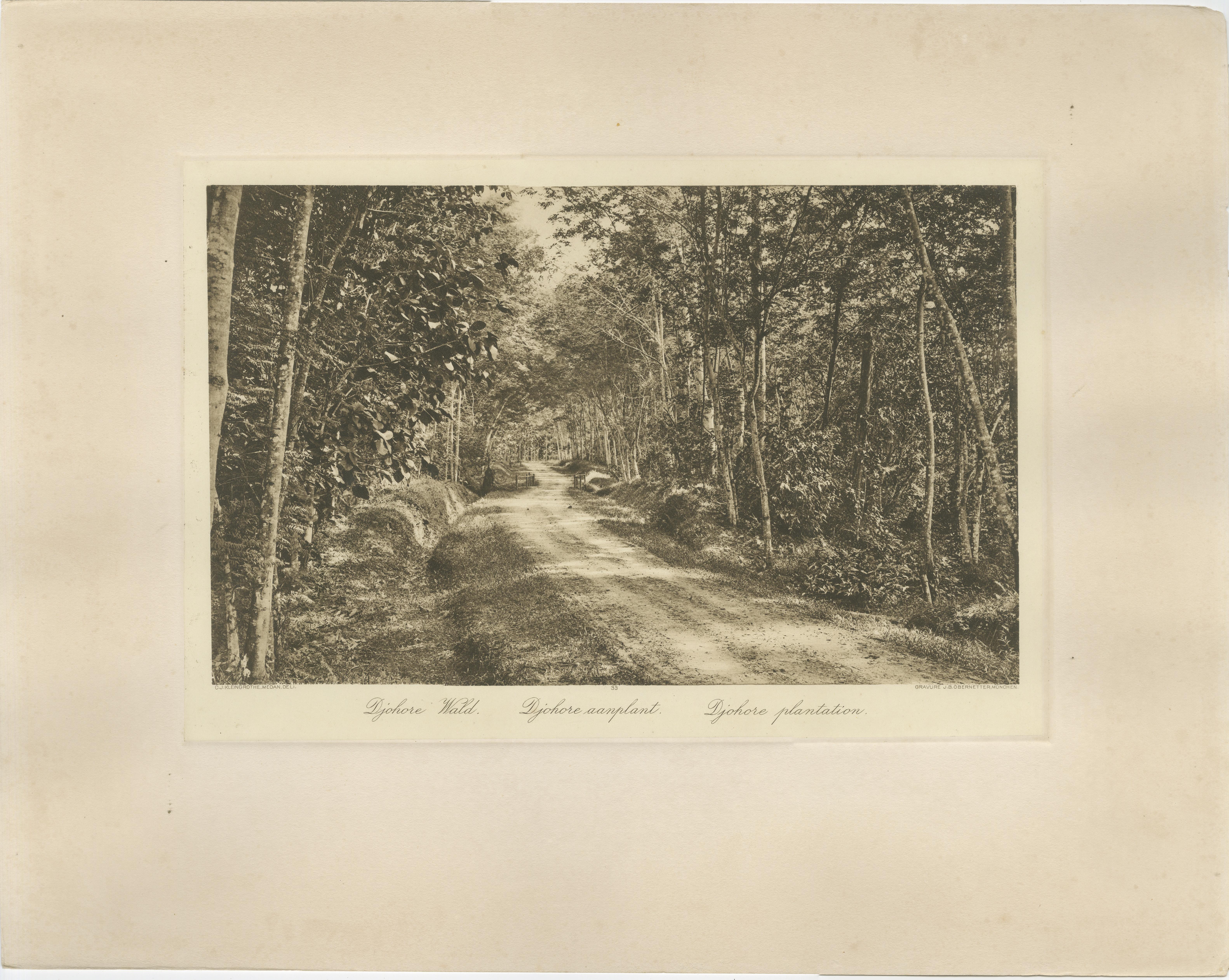 Satz von 3 antiken Fotogravuren von Sumatra-Plantagen - Deli, Region Medan, 1900 (Niederländisch) im Angebot