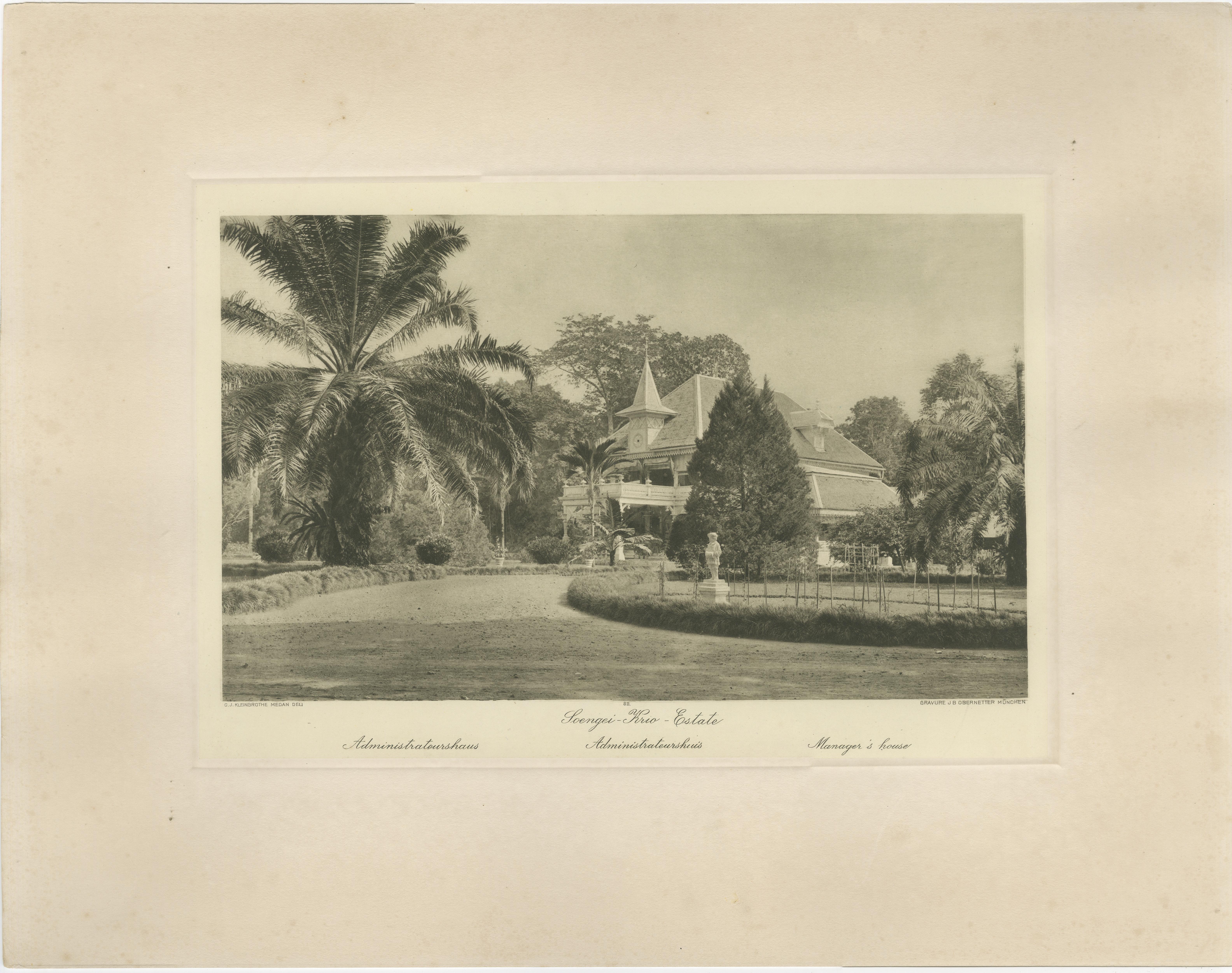 Satz von 3 antiken Fotogravuren von Sumatra-Plantagen - Deli, Region Medan, 1900 im Zustand „Gut“ im Angebot in Langweer, NL