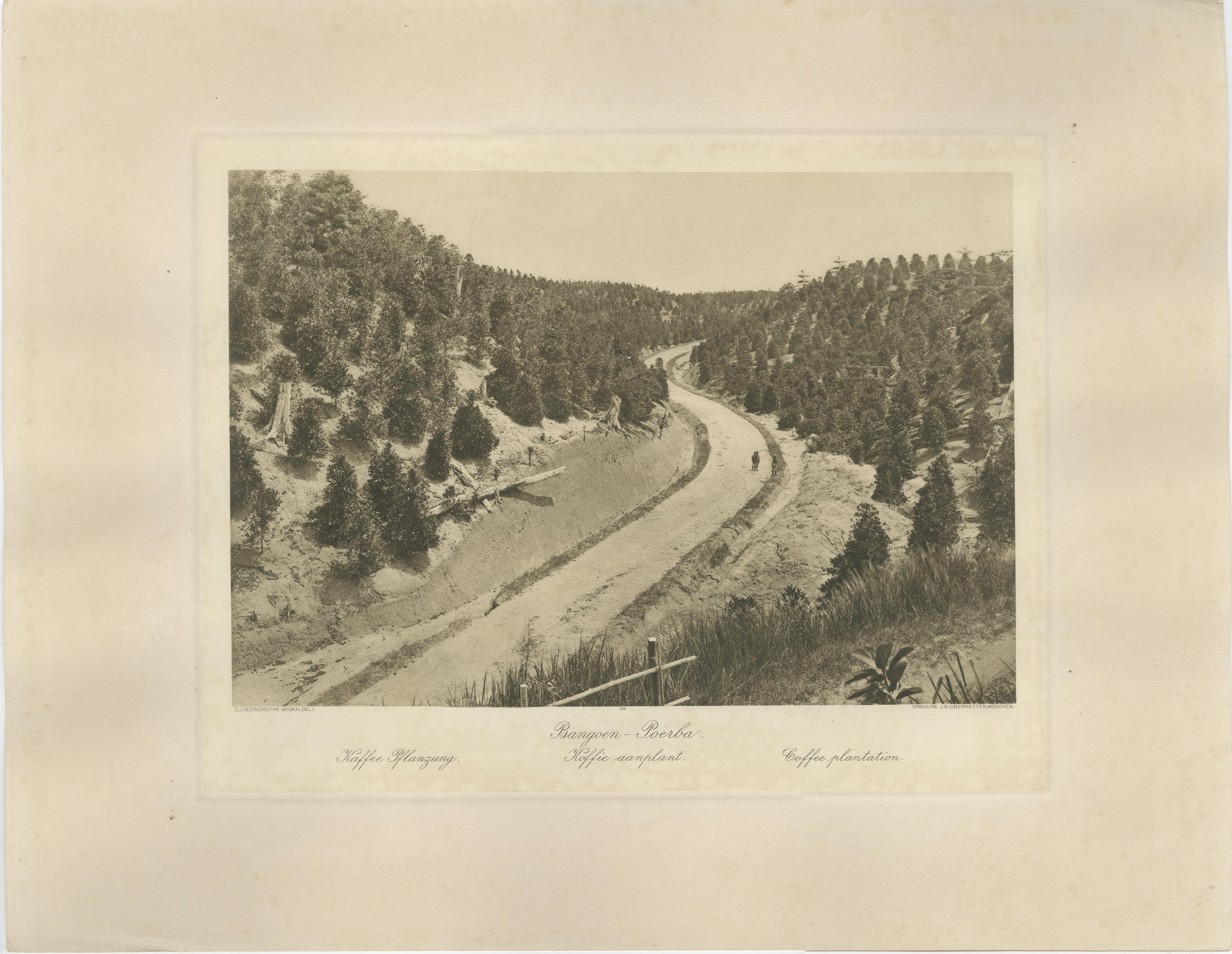 Satz von 3 antiken Fotogravuren von Sumatra-Plantagen - Deli, Region Medan, 1900 (20. Jahrhundert) im Angebot