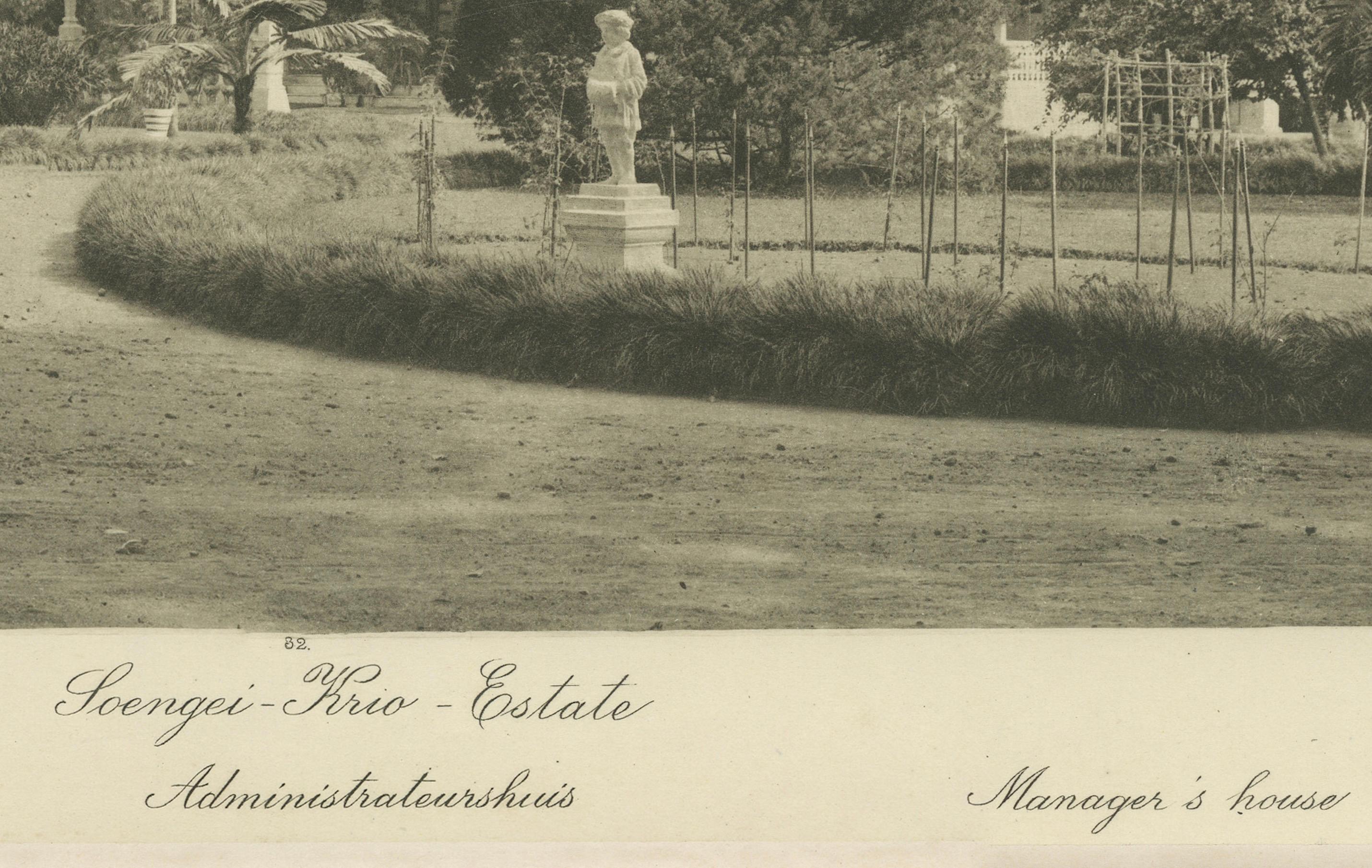 Satz von 3 antiken Fotogravuren von Sumatra-Plantagen - Deli, Region Medan, 1900 im Angebot 2