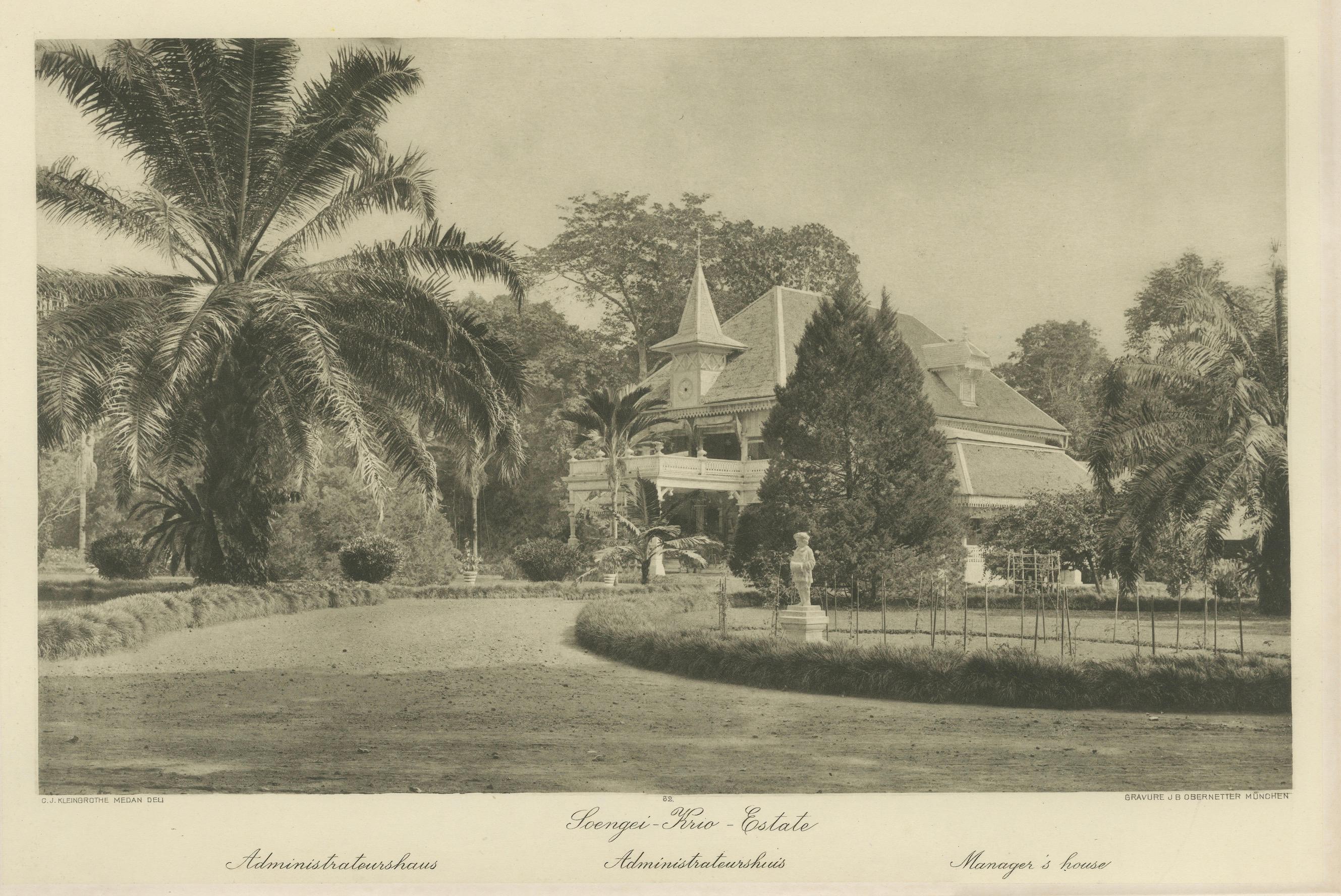 Satz von 3 antiken Fotogravuren von Sumatra-Plantagen - Deli, Region Medan, 1900 im Angebot 4