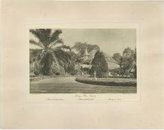Set of 3 Antique Photogravures of Sumatra Plantations — Deli, Medan Region, 1900