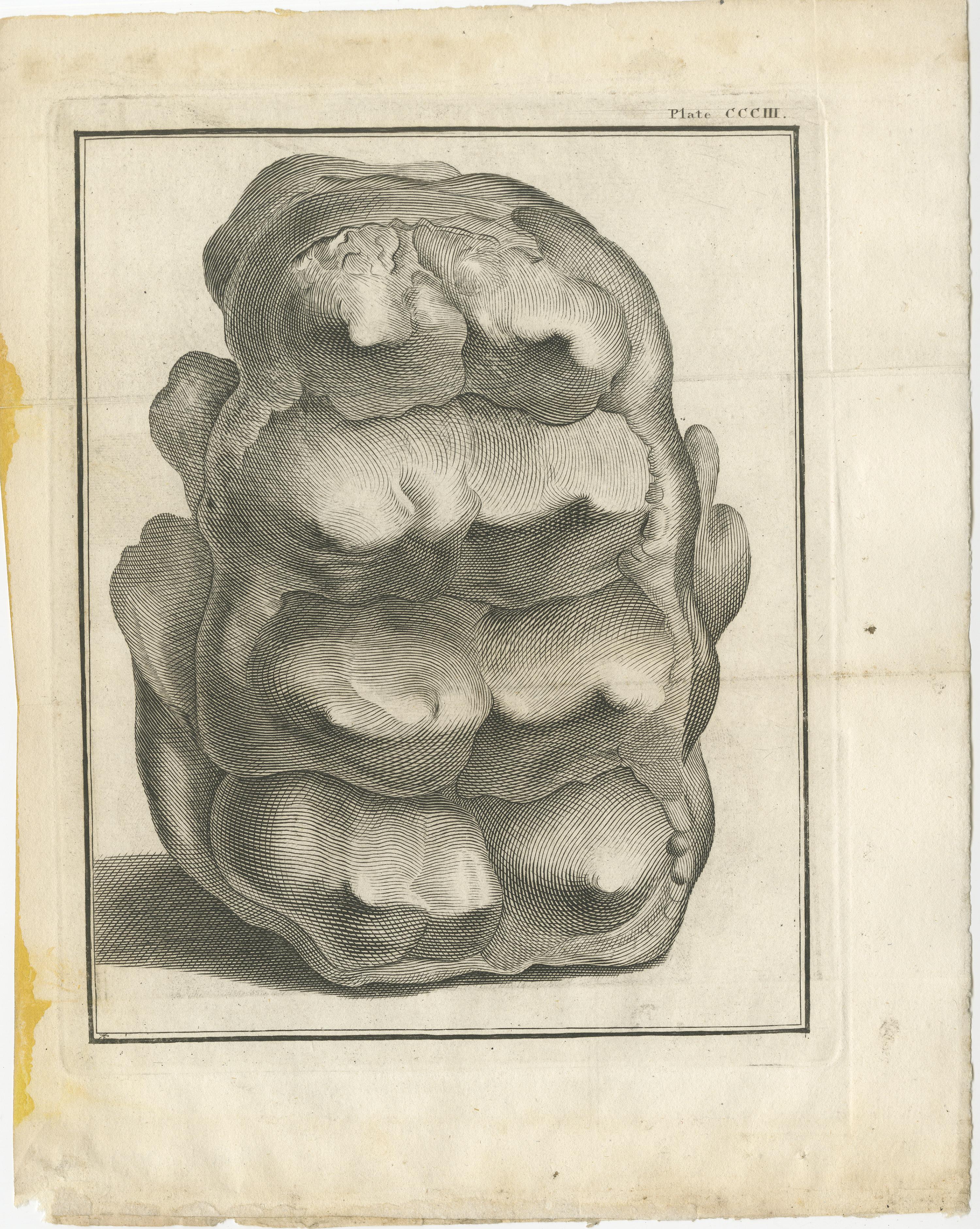 Set of three antique prints of fossils, most likely mammoth. Source unknown, to be determined. Published circa 1810.