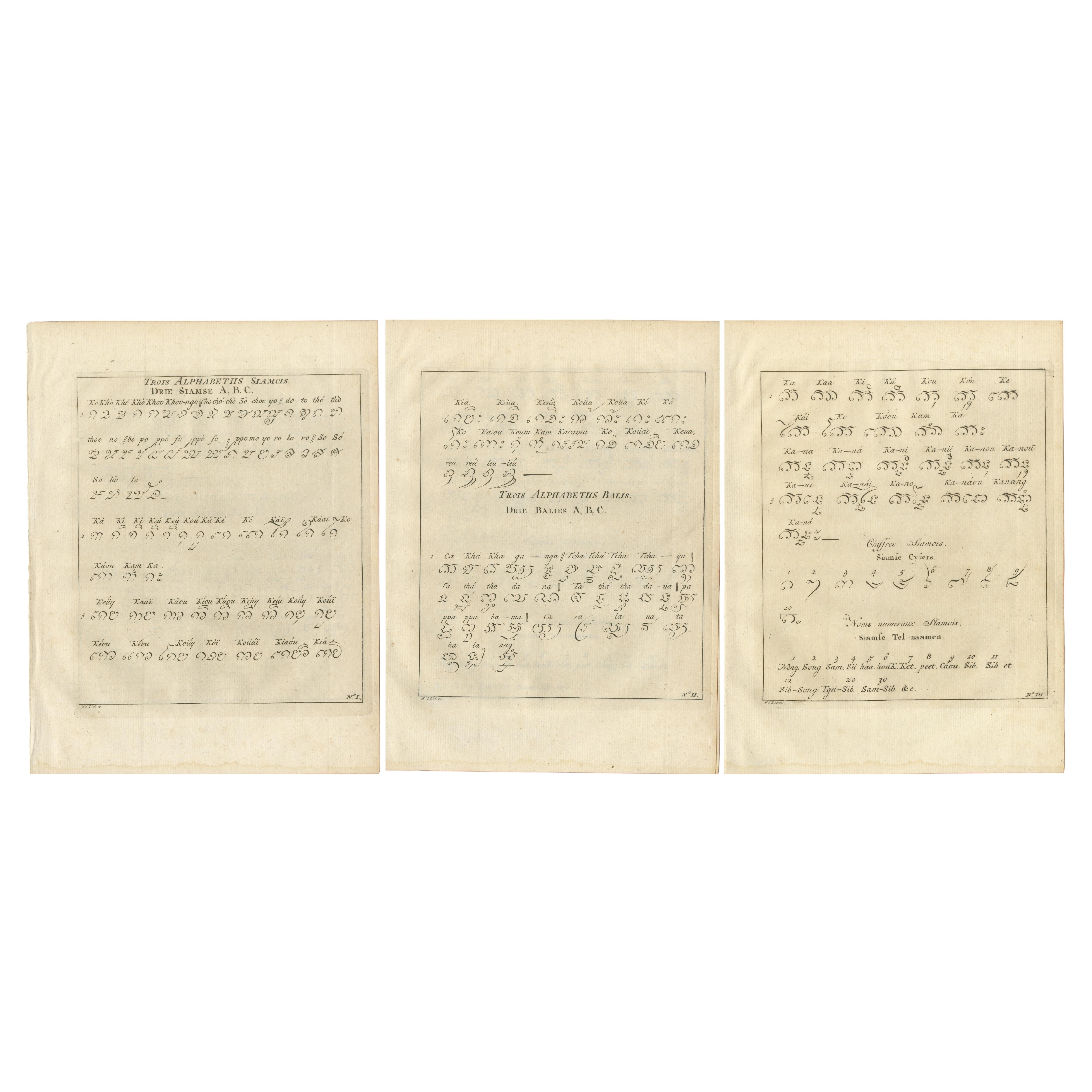 Set of 3 Antique Prints of Various Alphabets by Van Schley 'c.1750'