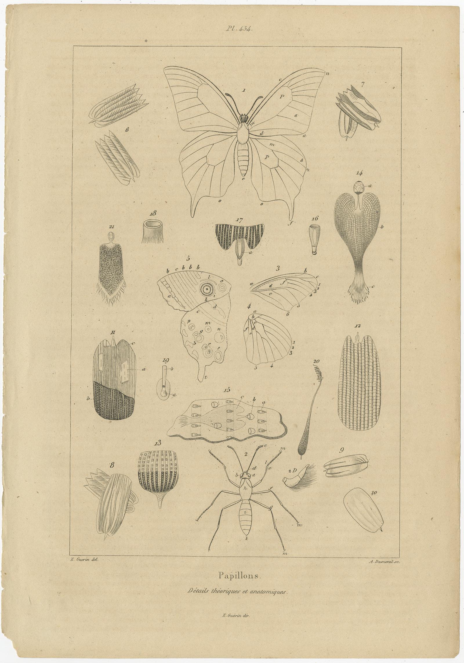 Set of 3 Antique Prints of Various Insects and Butterflies by Guerin, 'c.1835' In Fair Condition For Sale In Langweer, NL