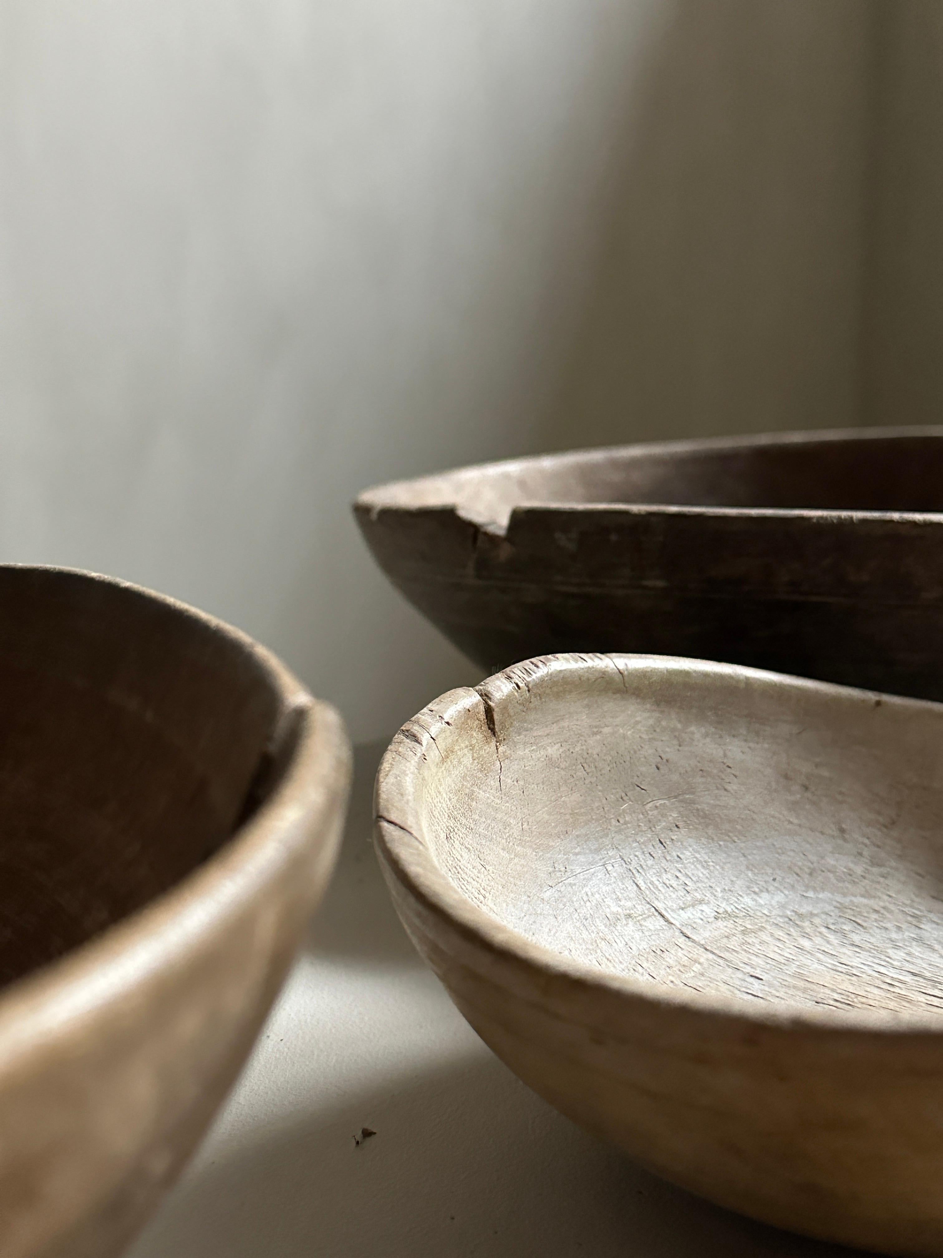 Set of 3 Antique Root Bowls, Wabi Sabi Style, Scandinavia, 1800s 3