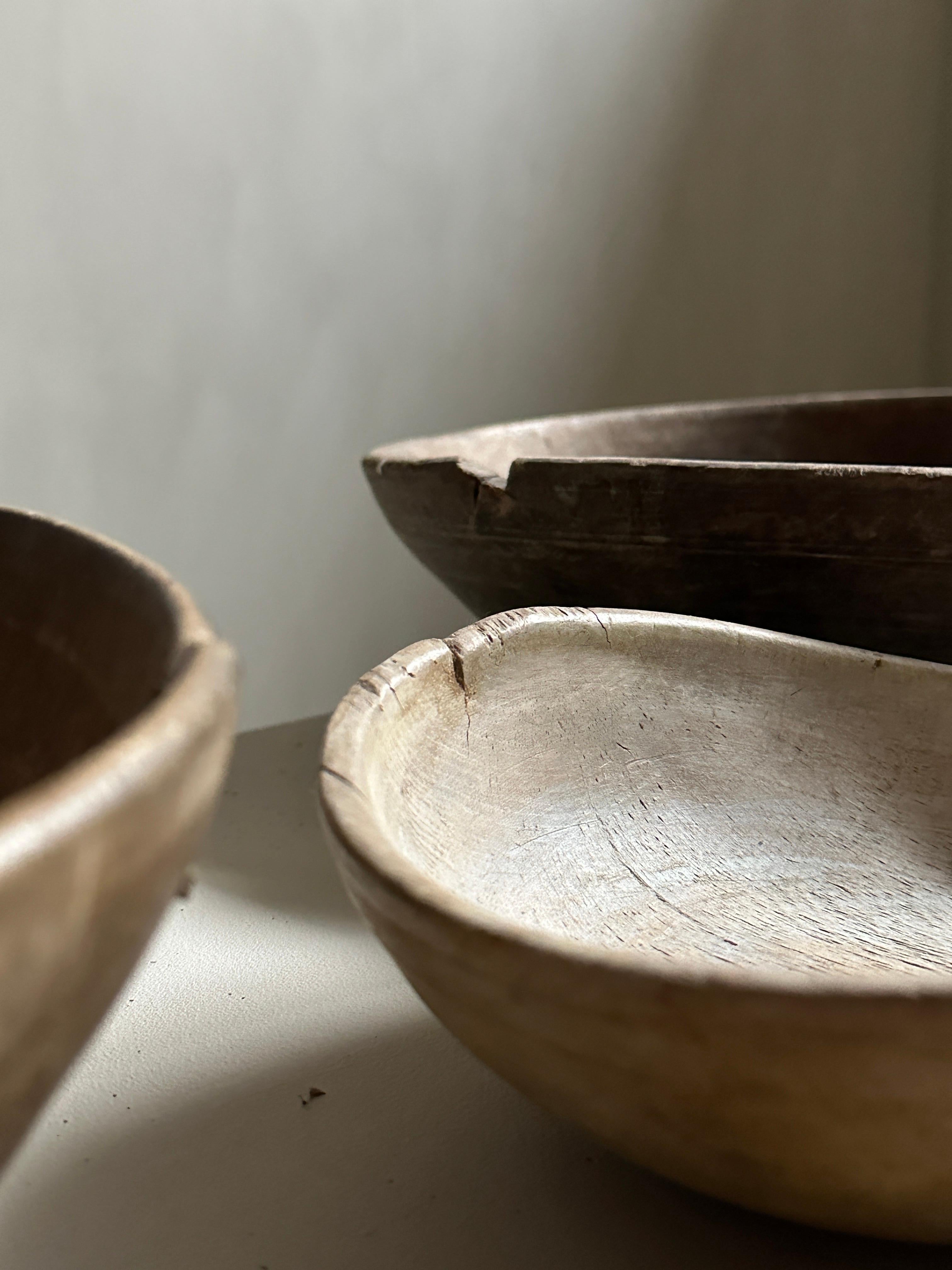 Set of 3 Antique Root Bowls, Wabi Sabi Style, Scandinavia, 1800s For Sale 6