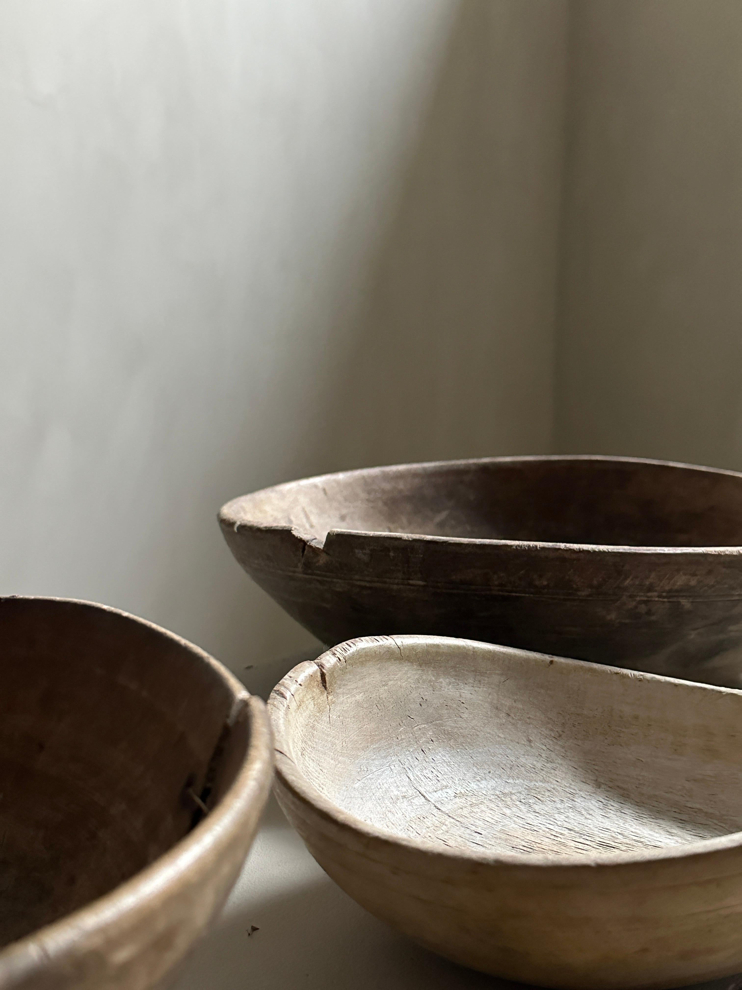 Set of 3 Antique Root Bowls, Wabi Sabi Style, Scandinavia, 1800s For Sale 7