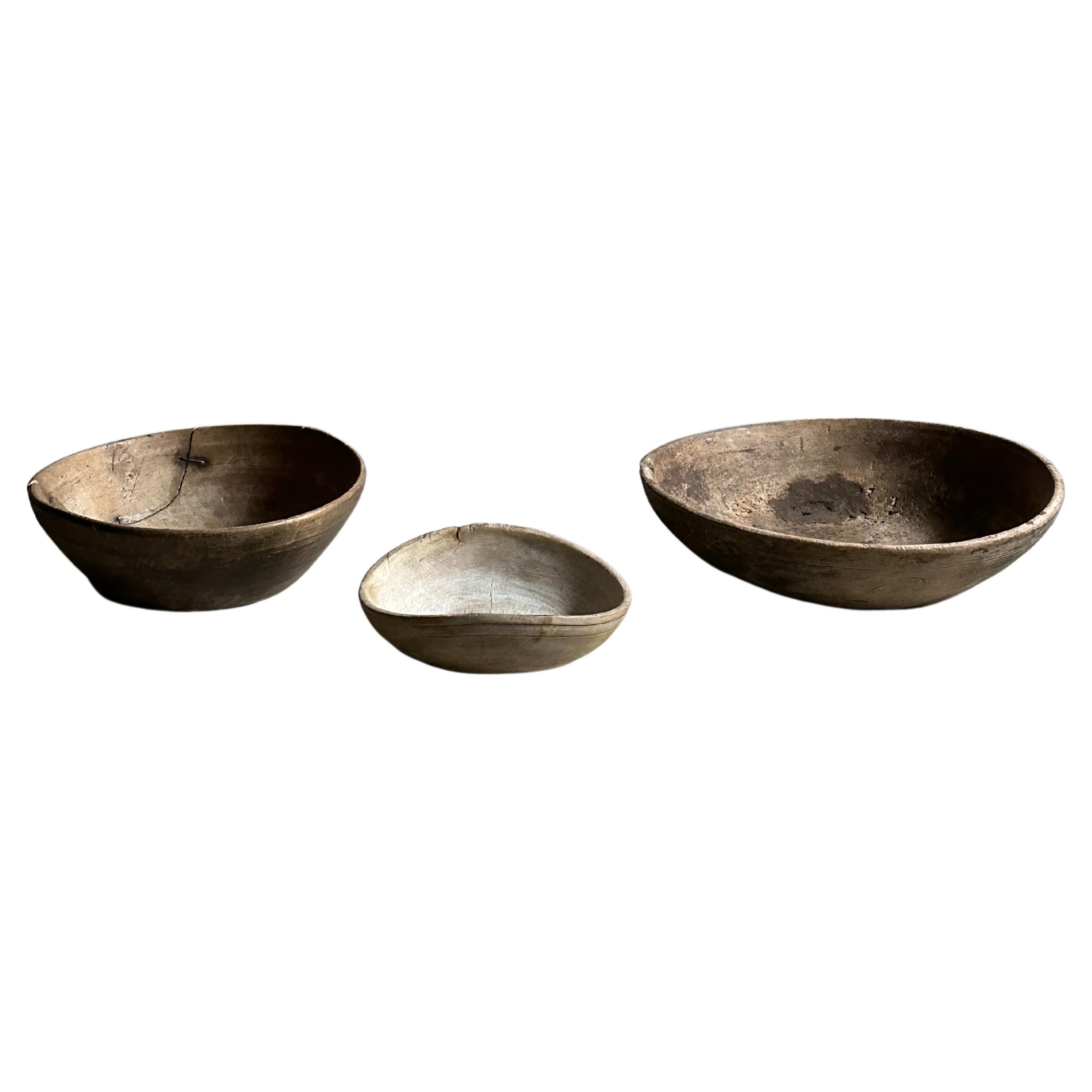 Set of 3 Antique Root Bowls, Wabi Sabi Style, Scandinavia, 1800s For Sale 8