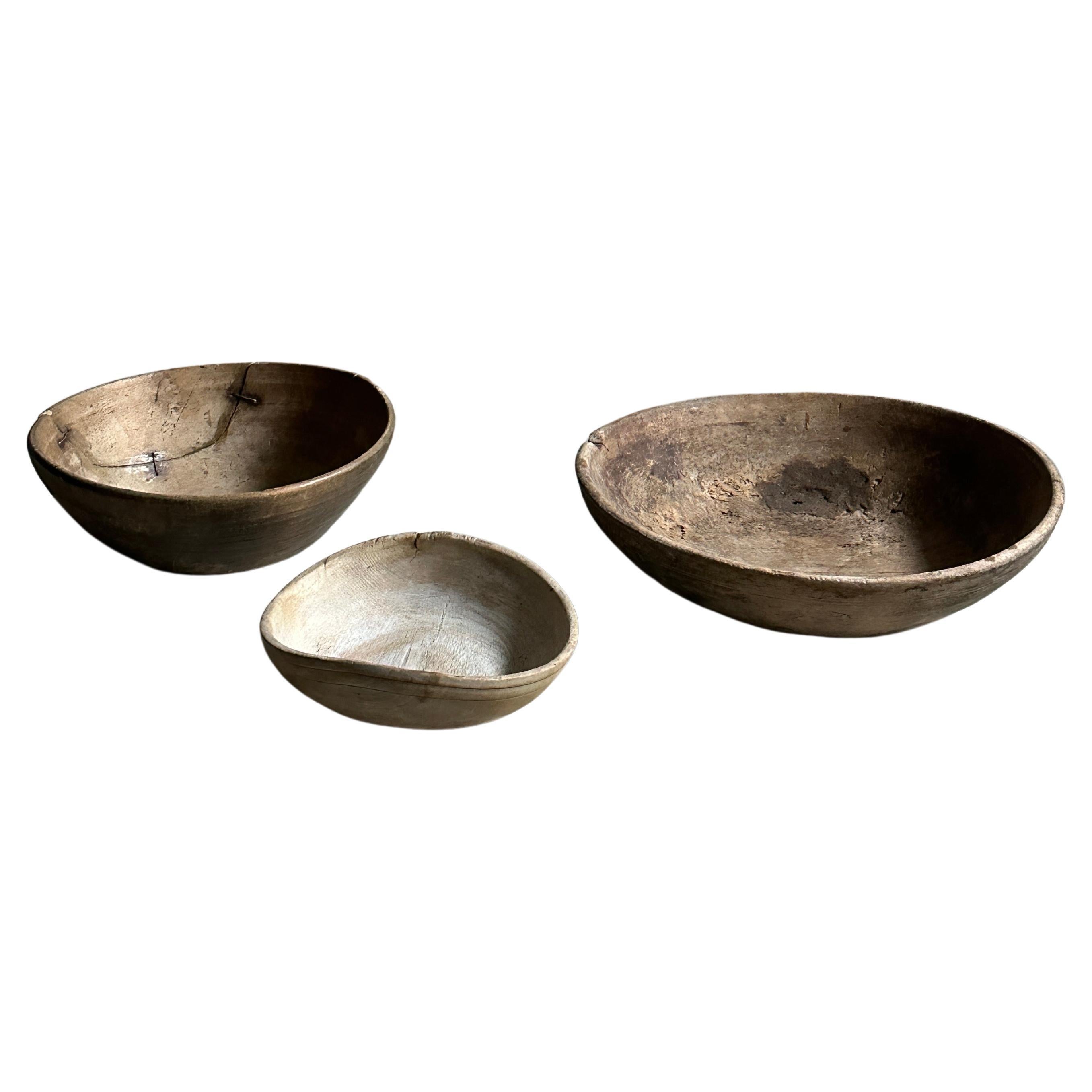 Set of 3 Antique Root Bowls, Wabi Sabi Style, Scandinavia, 1800s