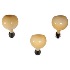 Set di 3 Appliques Parola di Piero Castiglioni e Gae Aulenti per Fontana Arte