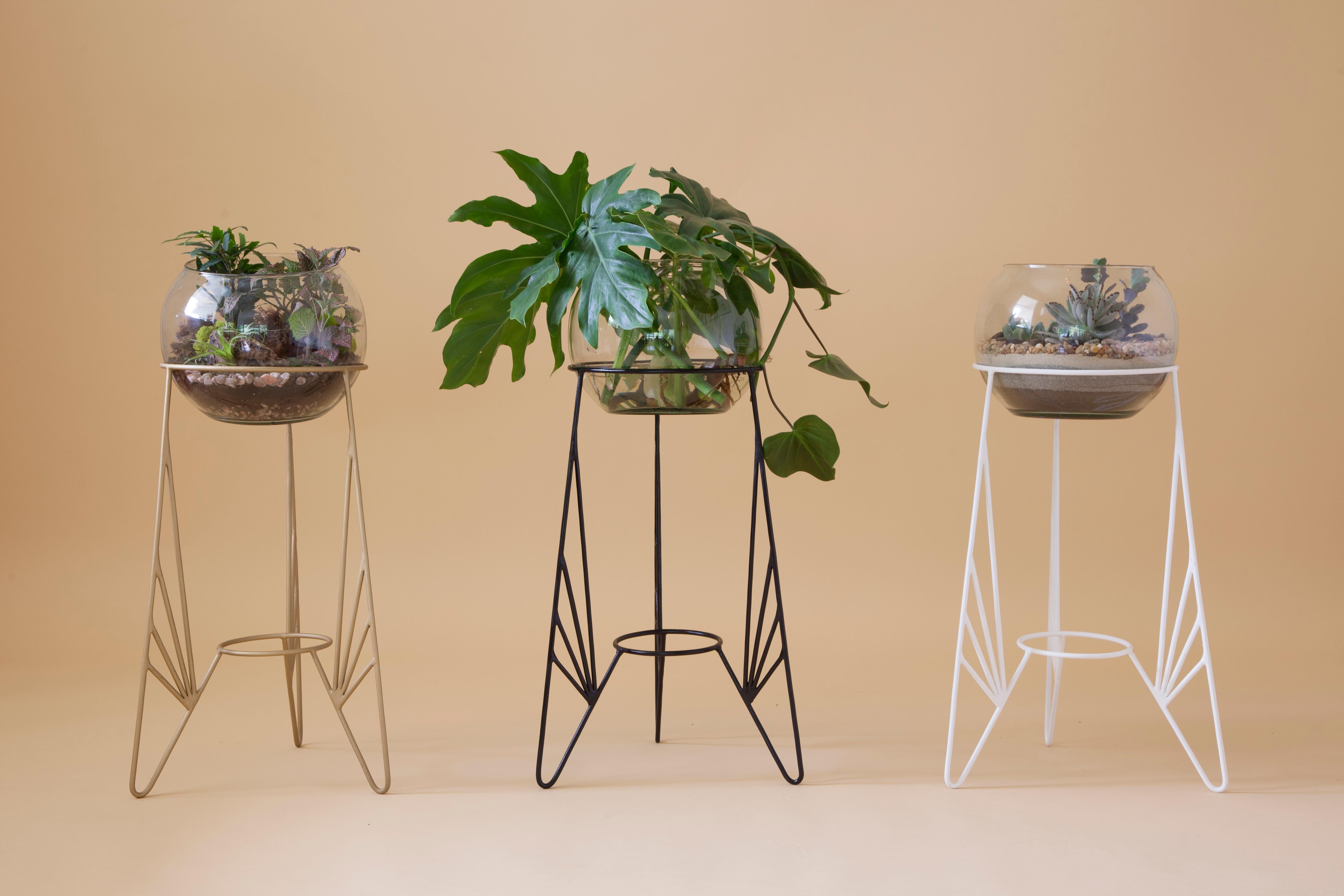 Set of 3 Aurea Plant Stand by Sofia Alvarado
Limited edition 1 of 10 (one in stock)
Materials: Metal and woods / golden, white or black.
include glass ball jar
Dimensions: H 70 x W 30 cm

FI is an ornamental artist who embodies the creative