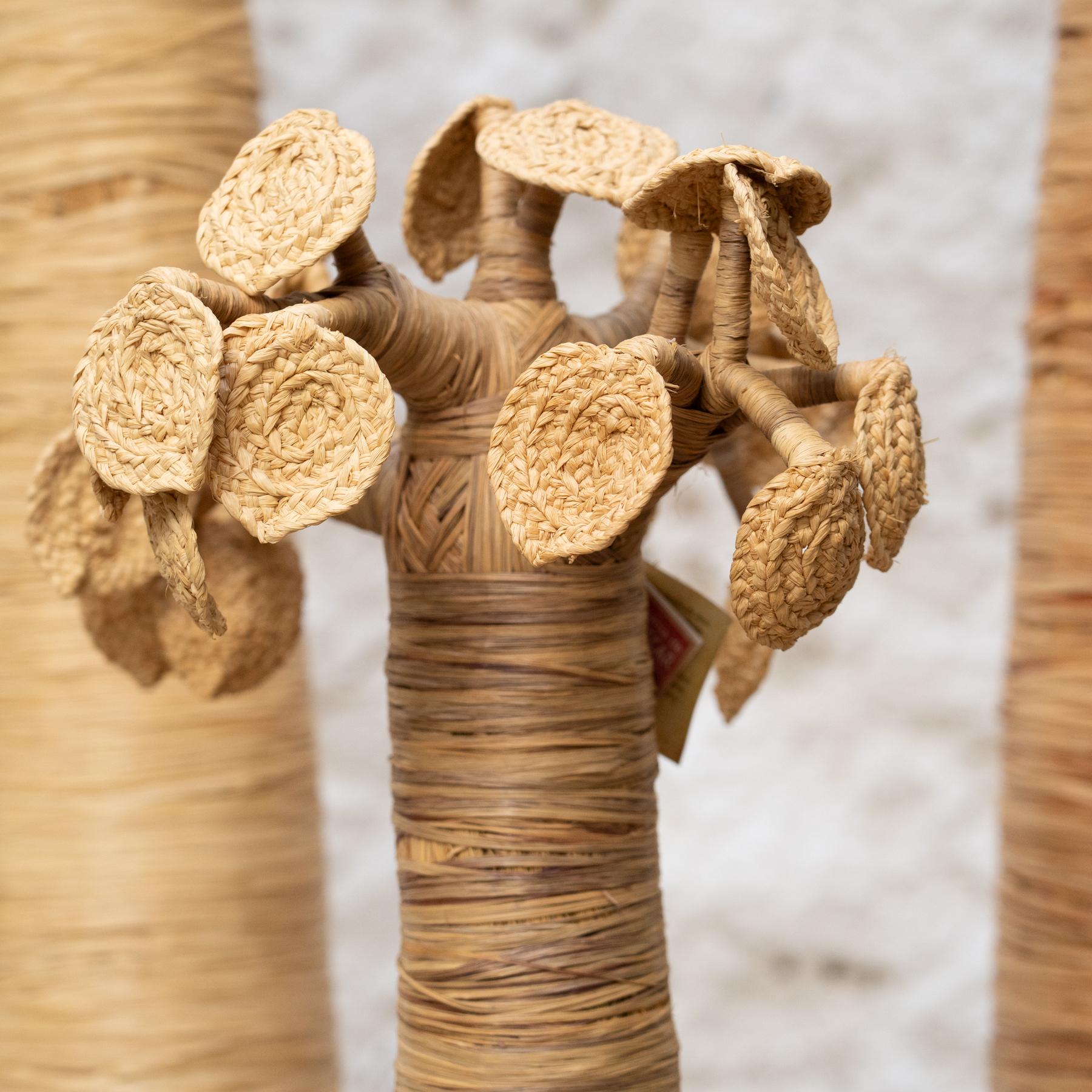 Set of 3 Baobabs from Madagascar in Raffia, circa 2000 For Sale 5