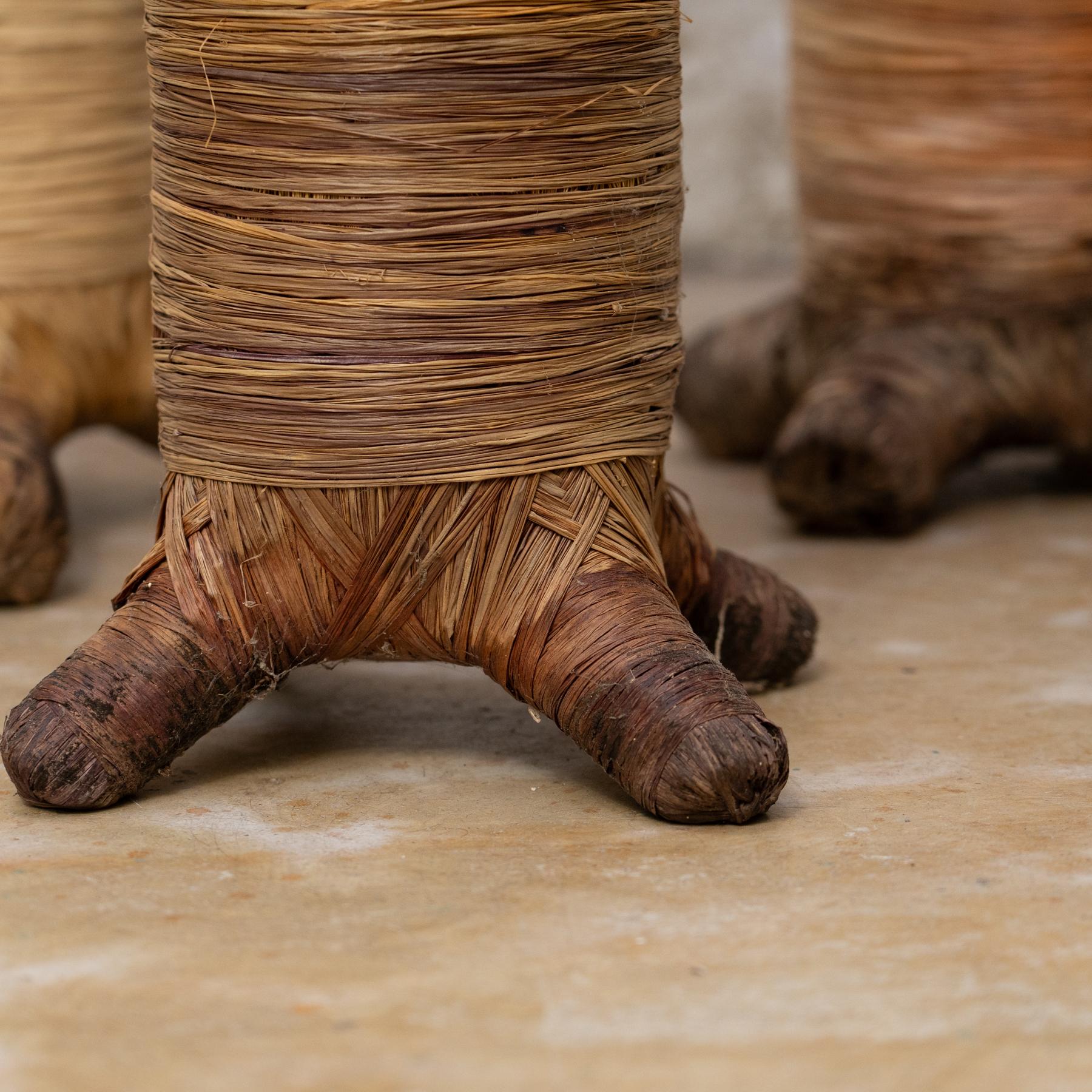 Set of 3 Baobabs from Madagascar in Raffia, circa 2000 For Sale 6