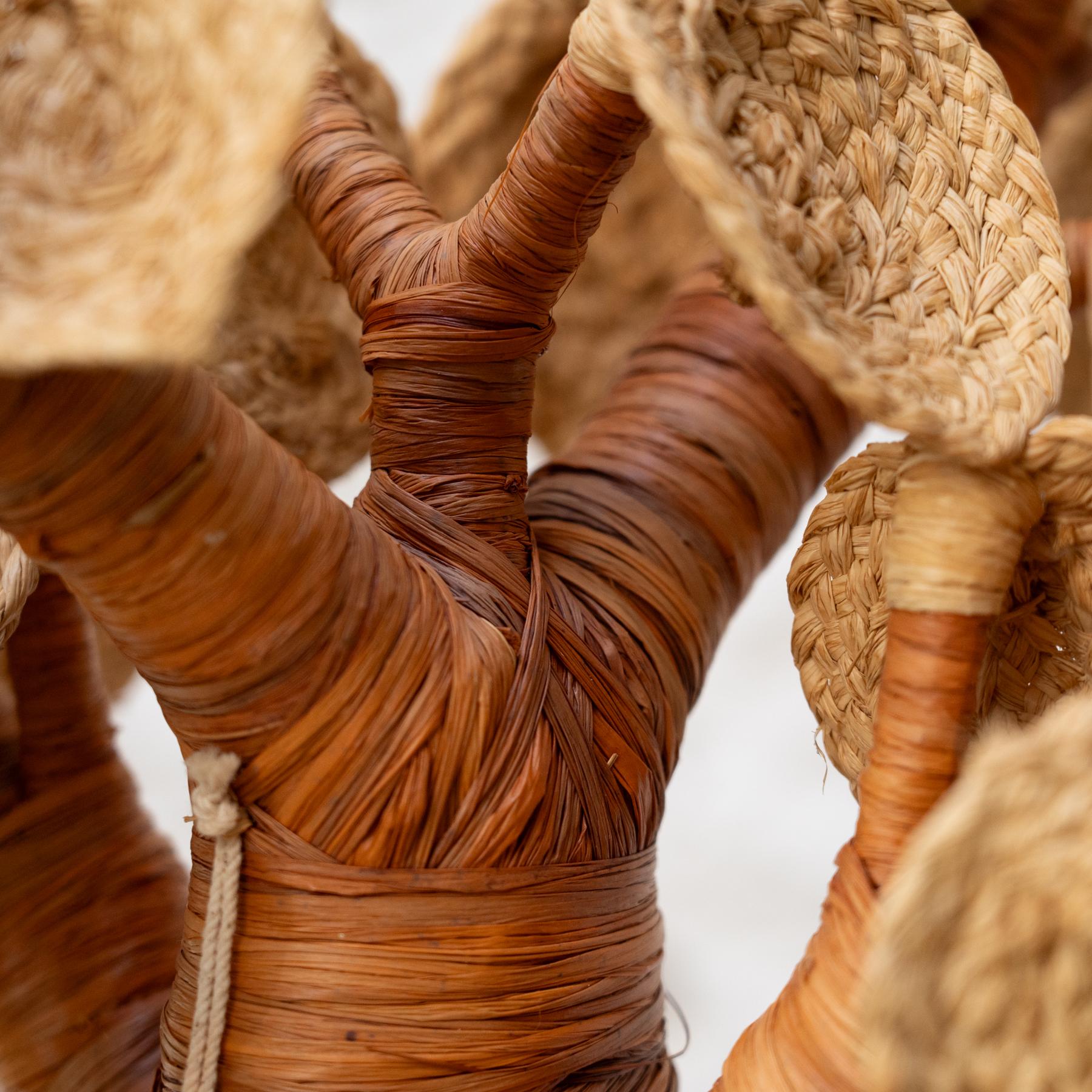 Set of 3 Baobabs from Madagascar in Raffia, circa 2000 For Sale 7