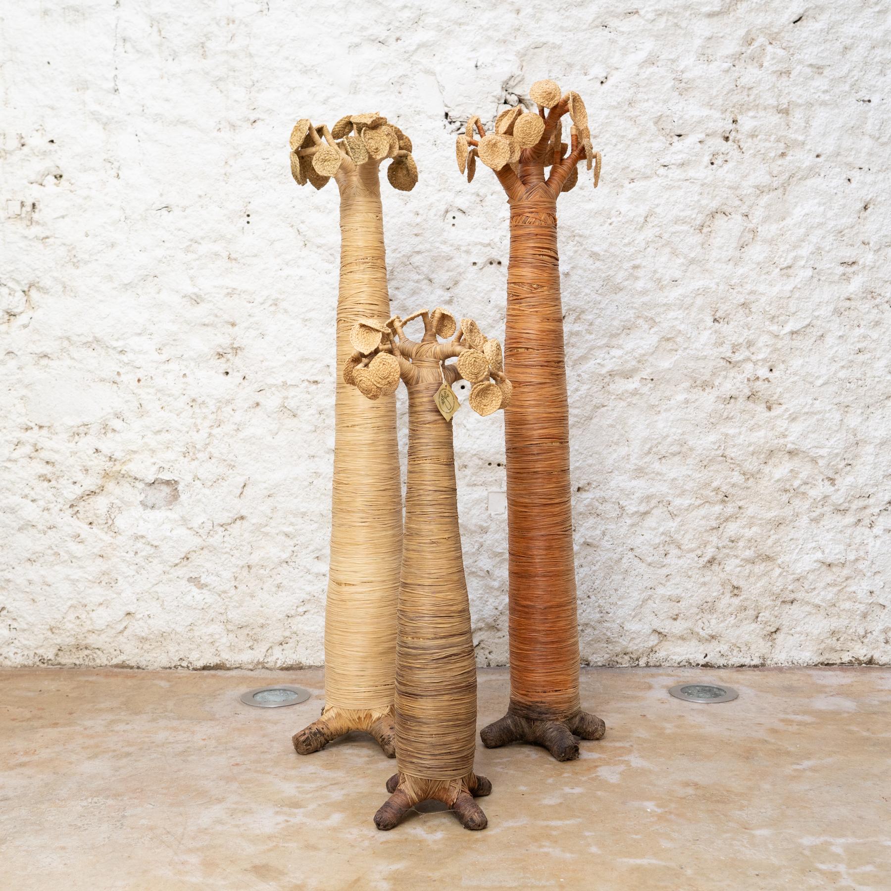 Set of 3 Baobabs from Madagascar in Raffia (2000)

This stunning set of 3 Baobabs made from raffia hails from Madagascar and was crafted in the year 2000. These sculptural pieces evoke the grandeur of the iconic Baobab tree, renowned for its unique