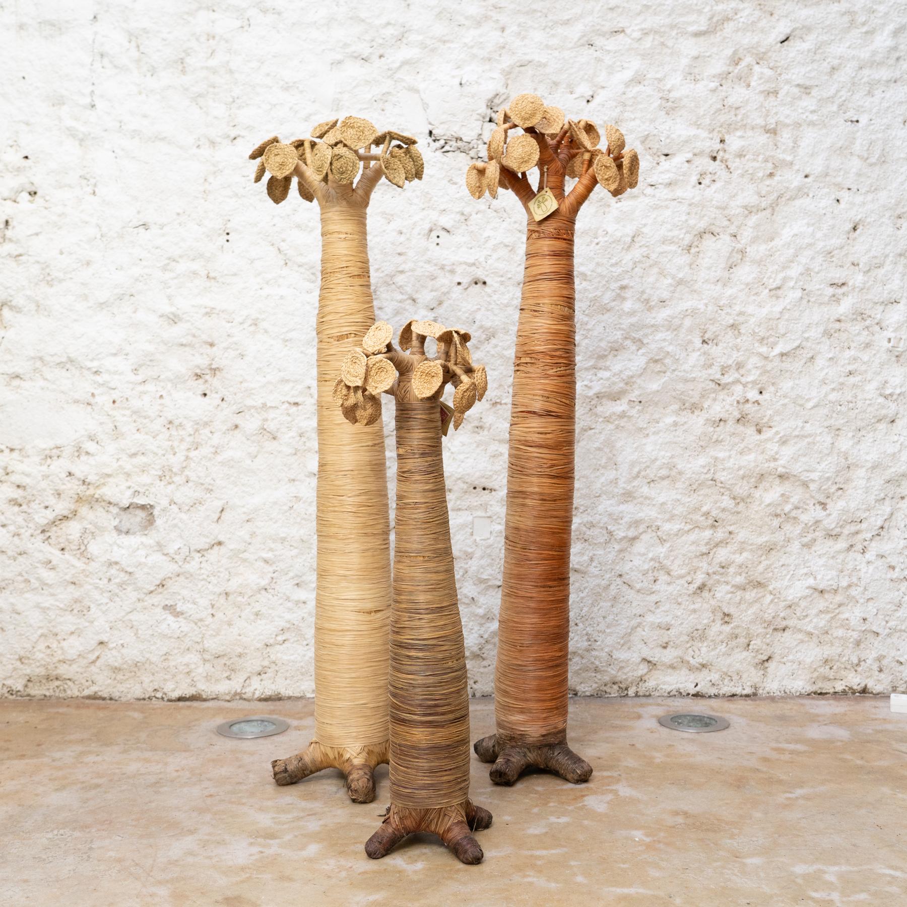 Mid-Century Modern Set of 3 Baobabs from Madagascar in Raffia, circa 2000 For Sale