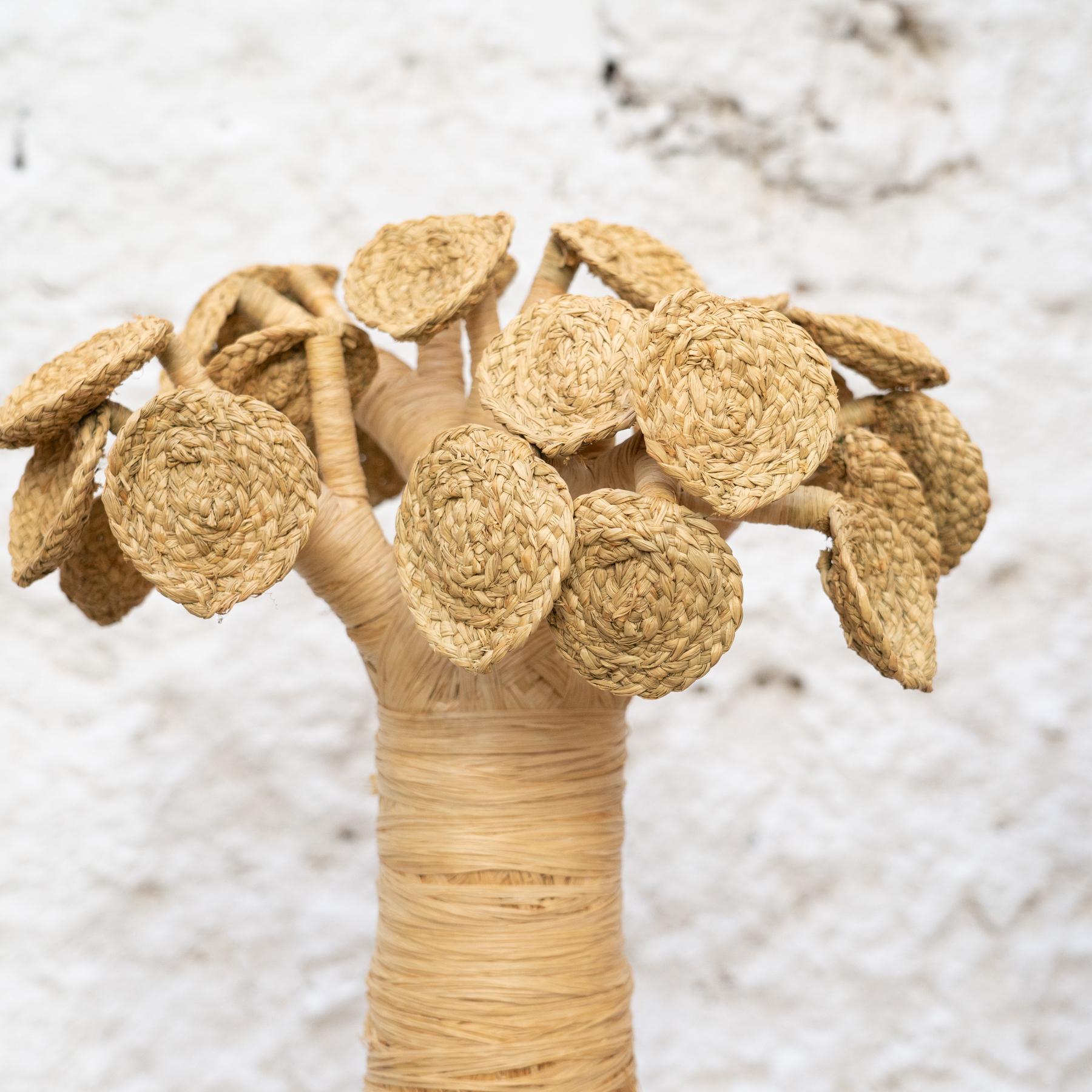 Spanish Set of 3 Baobabs from Madagascar in Raffia, circa 2000 For Sale