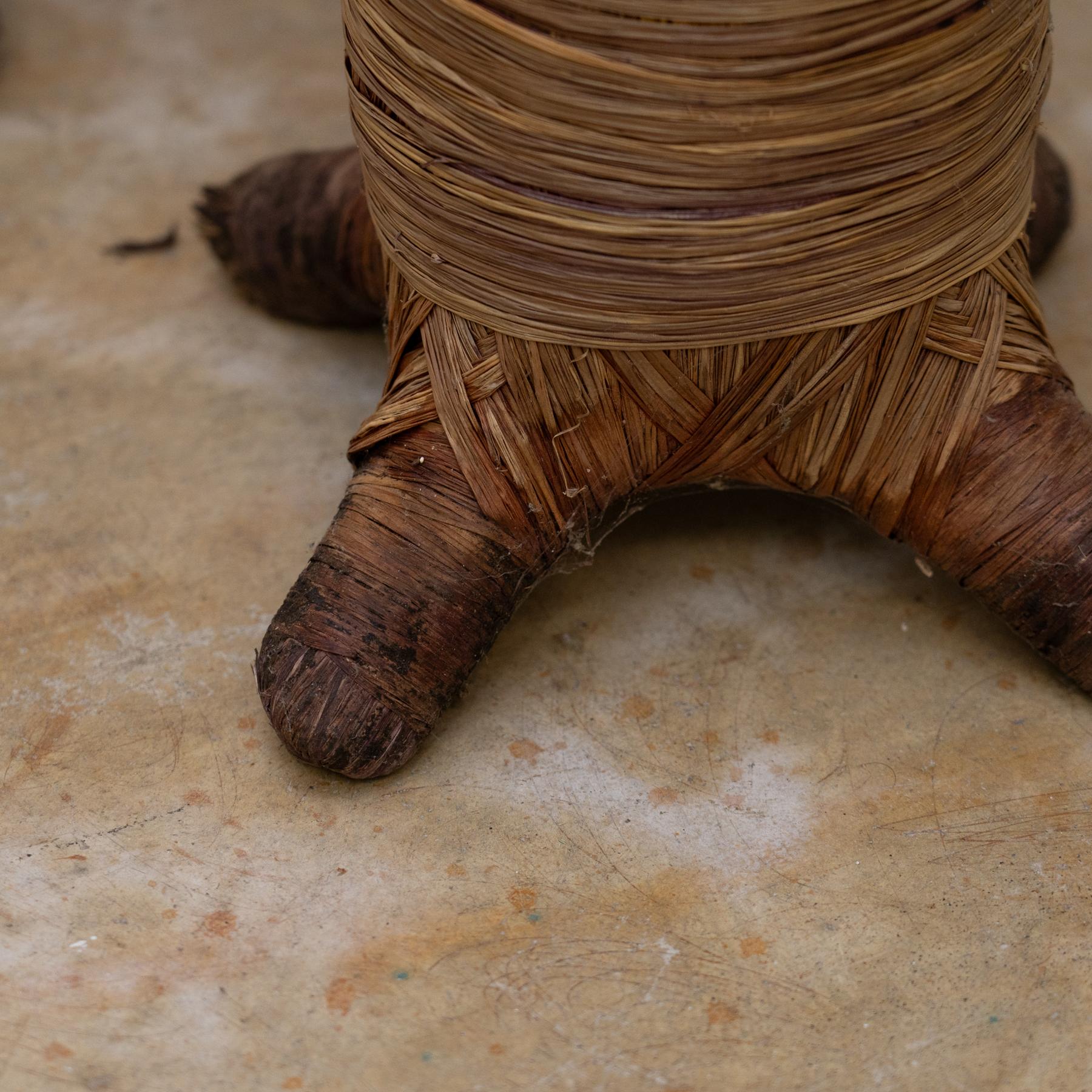 Set of 3 Baobabs from Madagascar in Raffia, circa 2000 For Sale 2