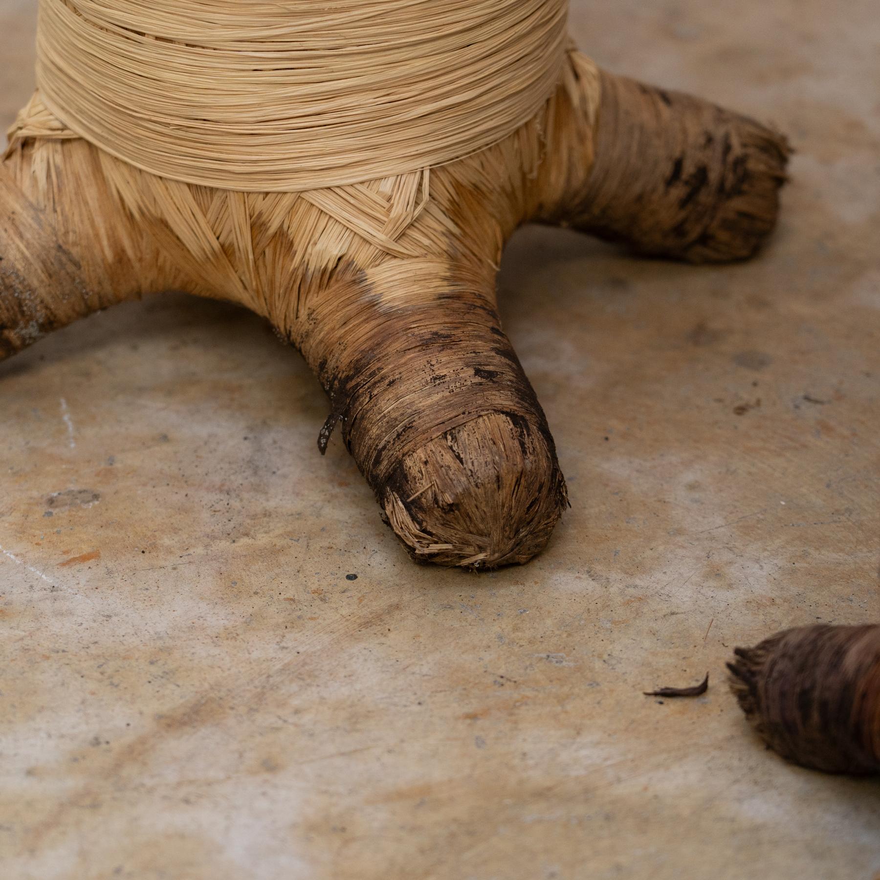 Set of 3 Baobabs from Madagascar in Raffia, circa 2000 For Sale 3