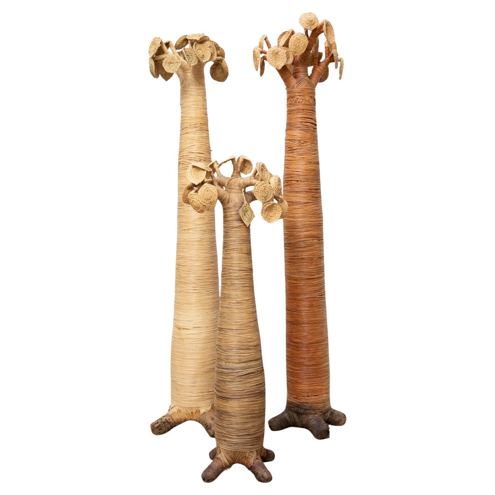 Set of 3 Baobabs from Madagascar in Raffia, circa 2000 For Sale