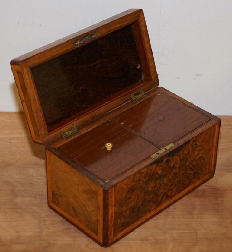 Hand-Crafted Set of 3 Beautiful Vintage Burr Walnut Sewing Storage For Sale