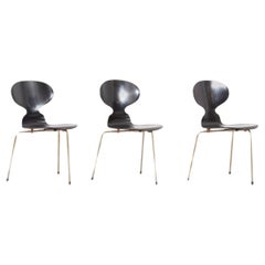 Ensemble de 3 chaises Fourmi noires Arne Jacobsen pour Fritz Hansen, Danemark, années 1950