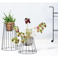 Set of 3 Black Cibele Plant Stands by OK Design