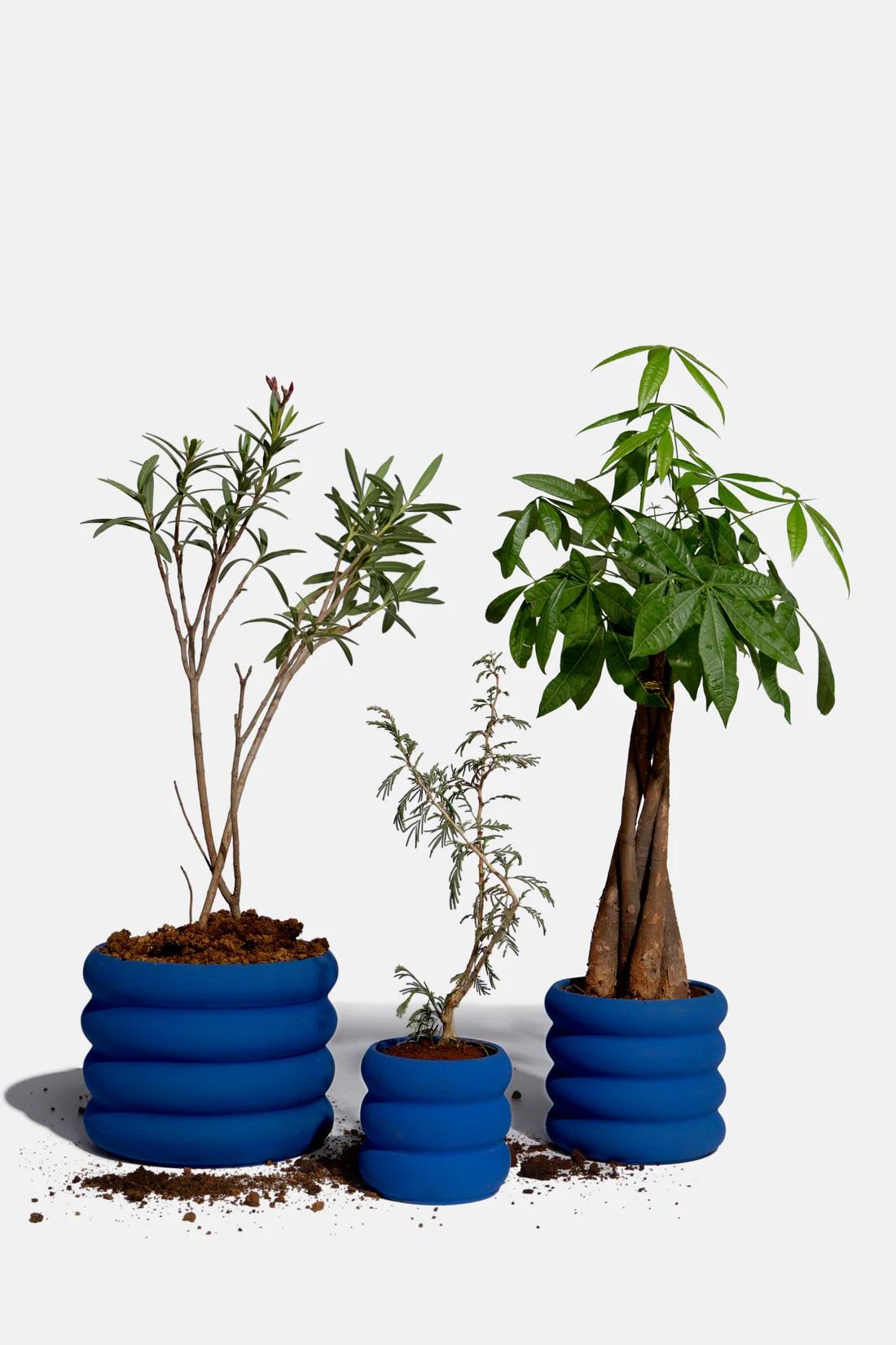 Ensemble de 3 jardinières en céramique bleue de Hatsu
Dimensions : D 23 x H 18 cm, D 16,5 x H 14 cm, D 13 x H 12 cm.
Matériaux : Céramique.

L'introduction de nos jardinières en céramique bleue, disponibles en grand, moyen et petit format, ajoute