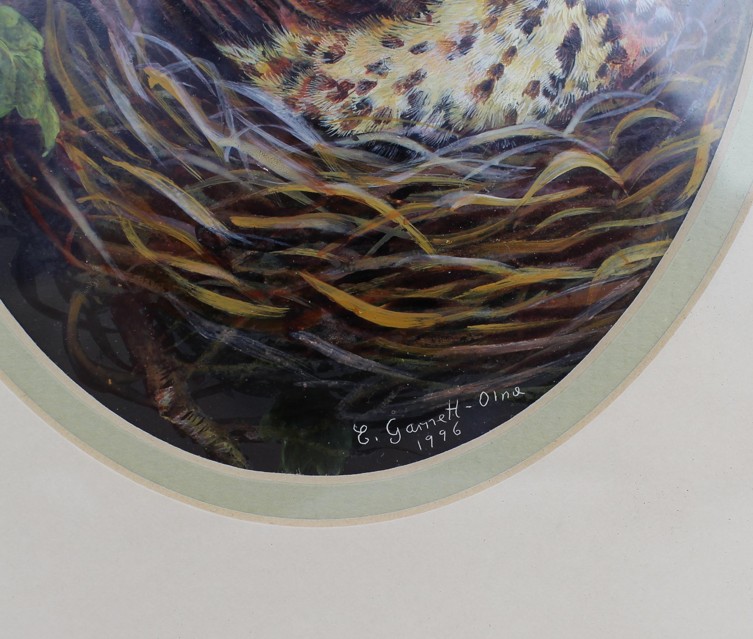 Set of 3 British Bird Paintings by Liz Garnett-Orme siglo XX en venta