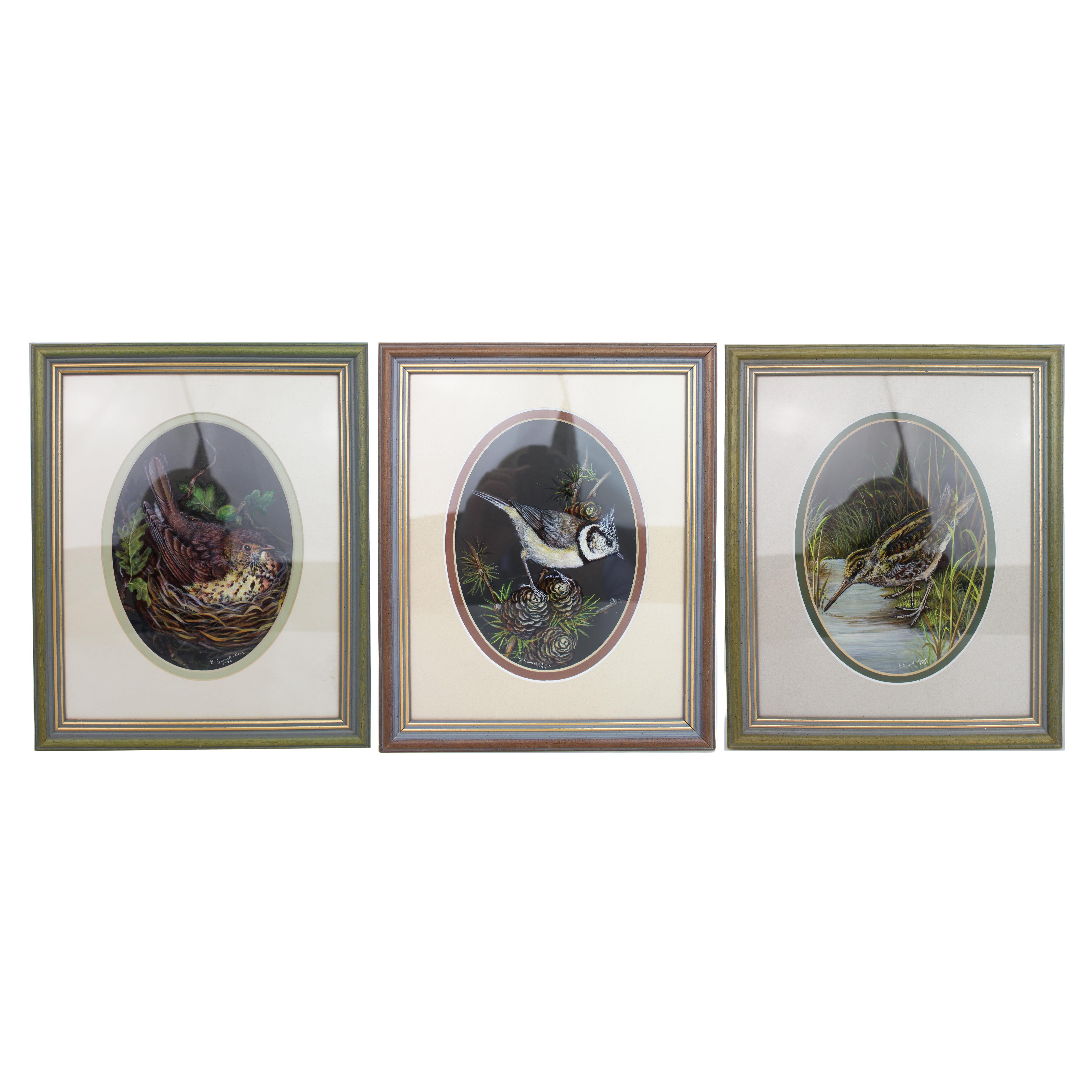 Set of 3 British Bird Paintings by Liz Garnett-Orme en venta