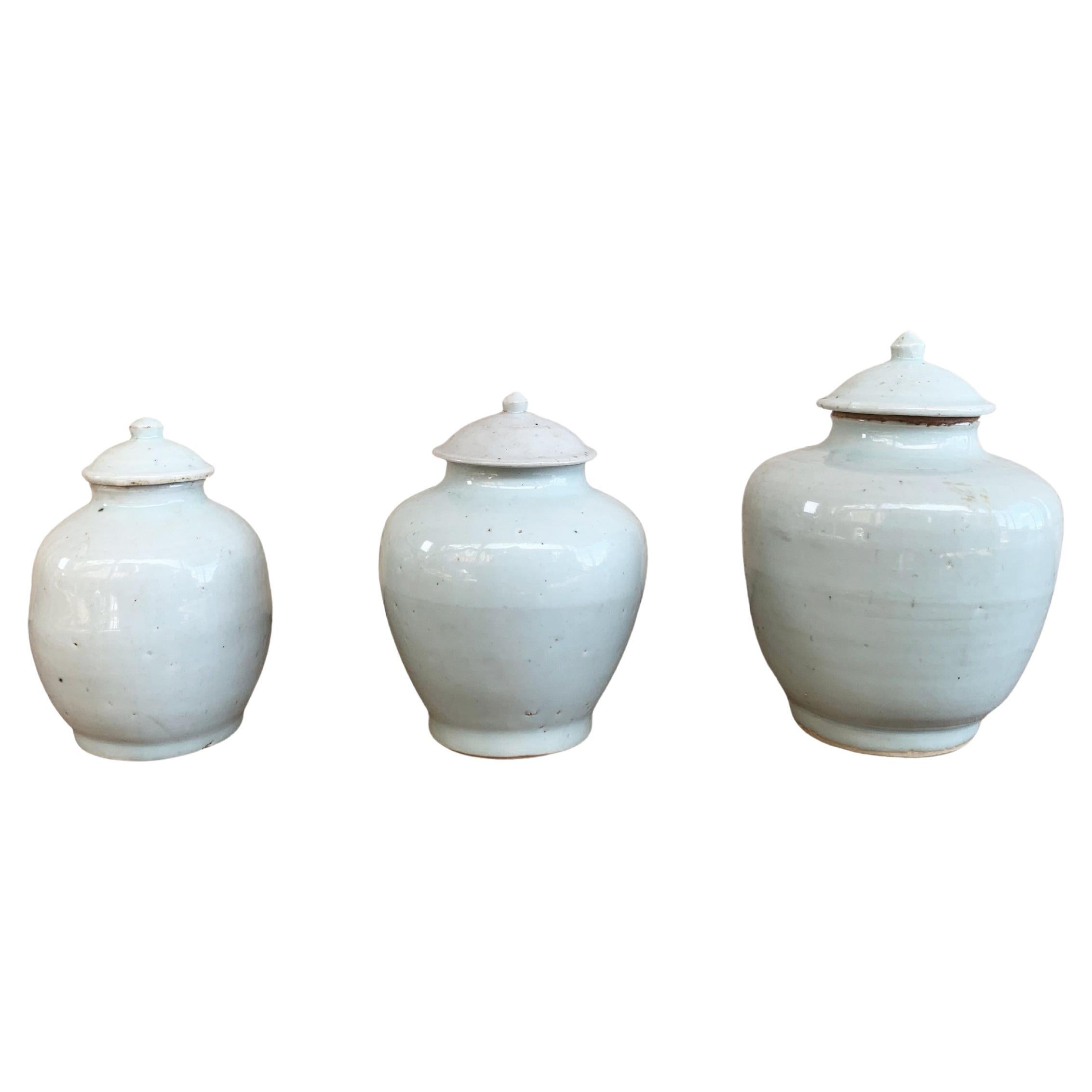 Set von 3 chinesischen Off-White-Keramik- Ingwergläsern