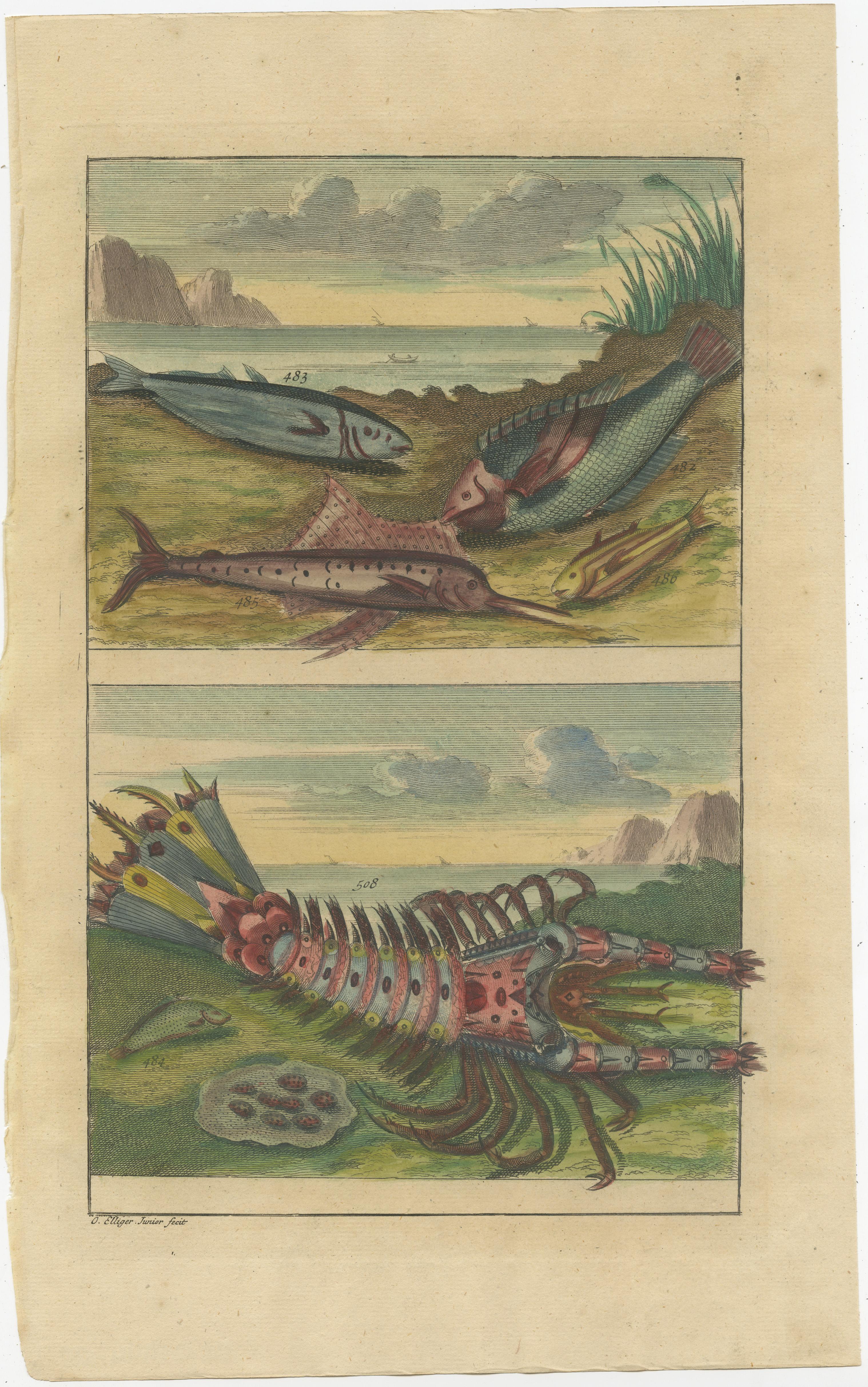 Set of three antique prints of various fishes and crustaceans. These print originate from 'Oud en Nieuw Oost-Indiën' by F. Valentijn.

François Valentyn or Valentijn (17 April 1666 – 6 August 1727) was a Dutch Calvinist minister, naturalist and